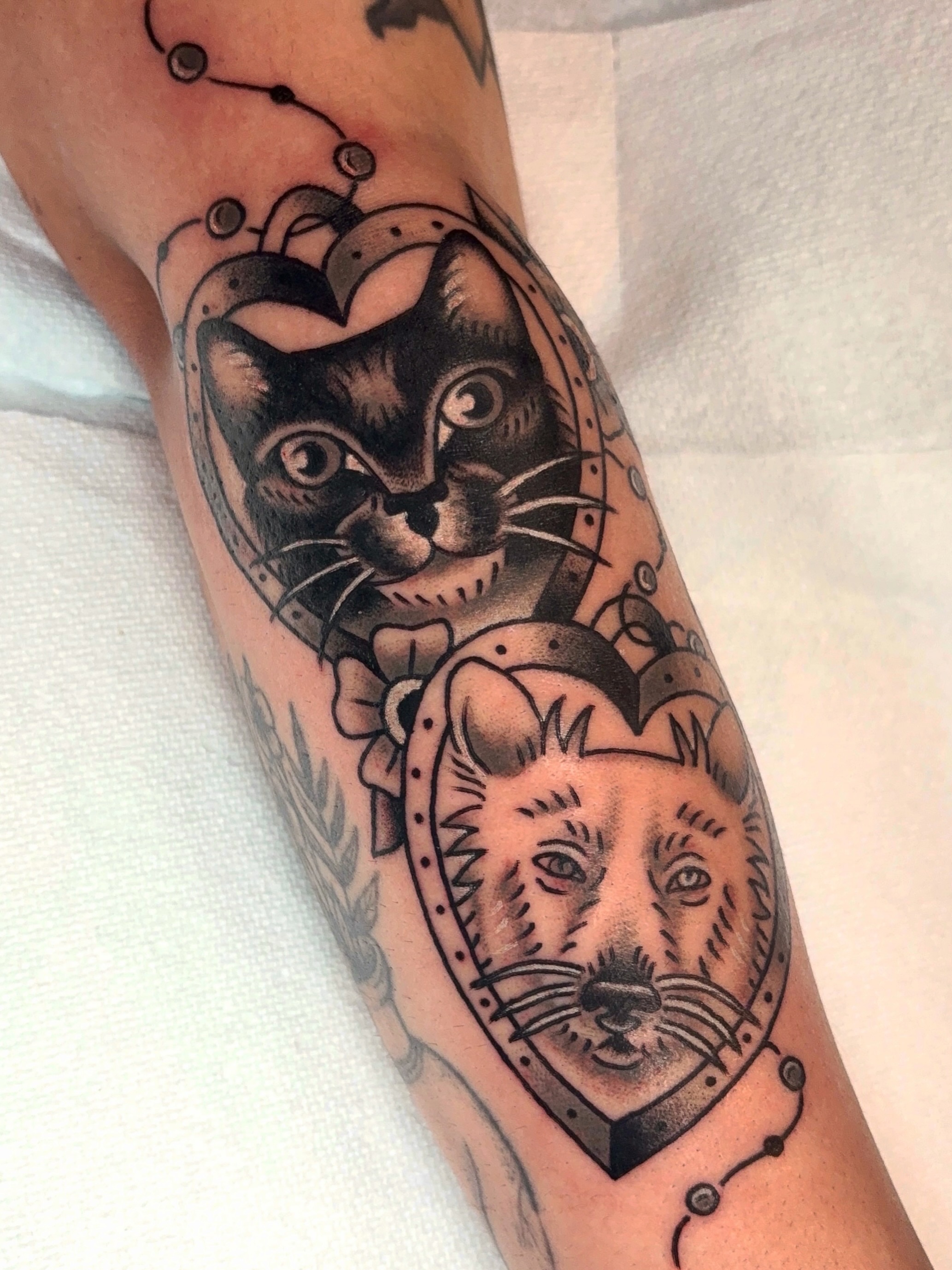 Cat and lion American traditional tattoo on the forearm by ๐ต๐๐๐๐ ๐ฎ๐๐๐๐๐๐, New Orleans, Louisiana