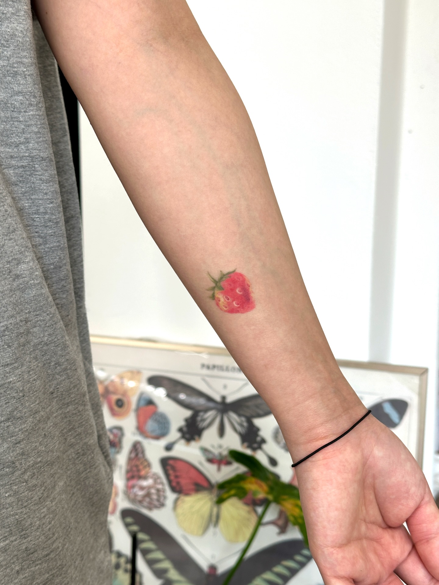 Tattoo by @vanilla__tattoo — realism