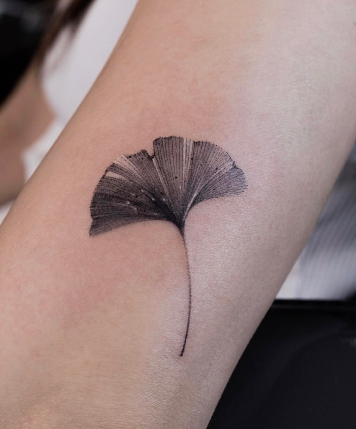 Gingko leaf black and grey tattoo on the forearm by Tattooist hea