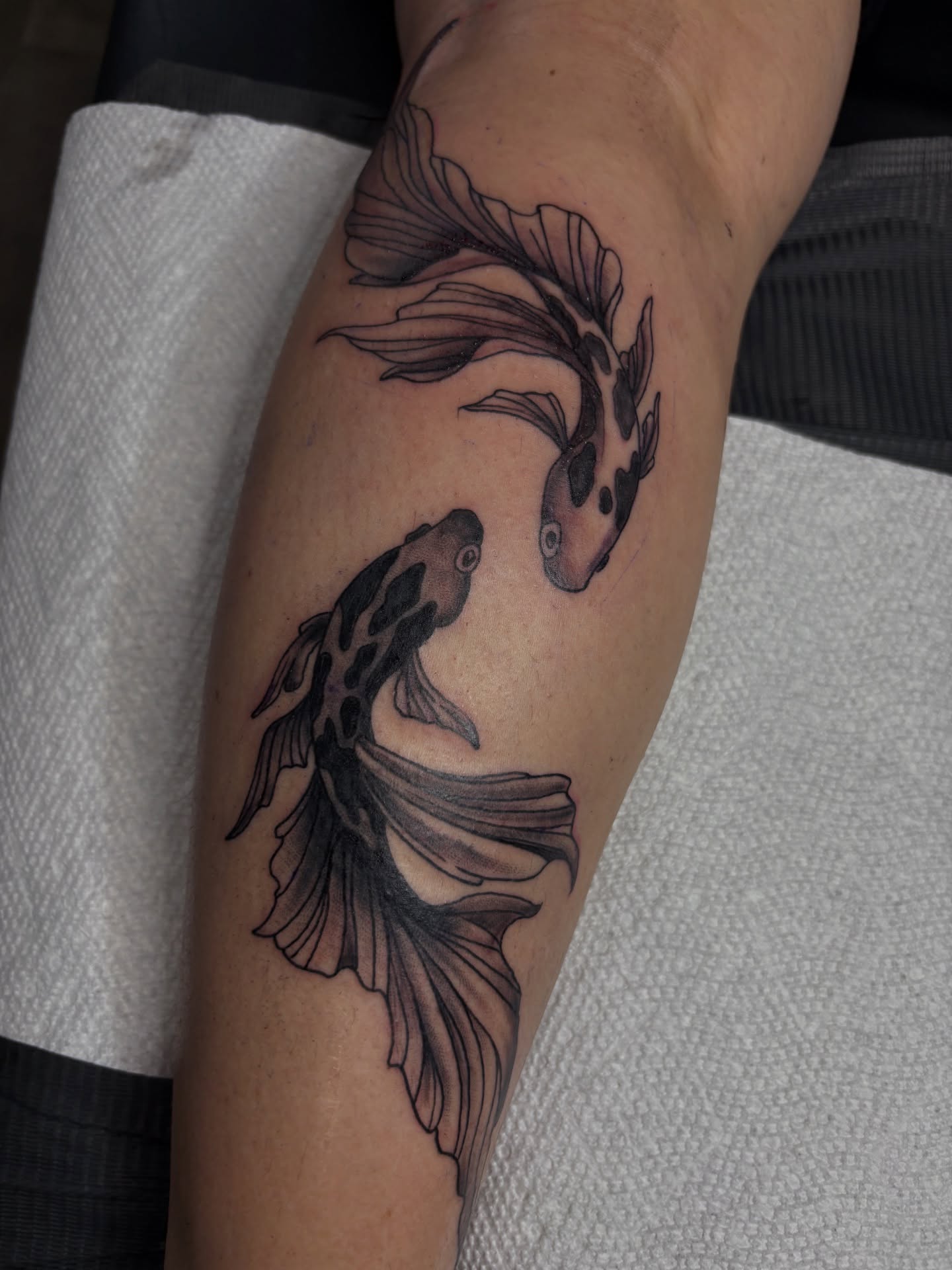Koi fish black and grey tattoo on the forearm by Casey - Tattooer, Salem, Massachusetts