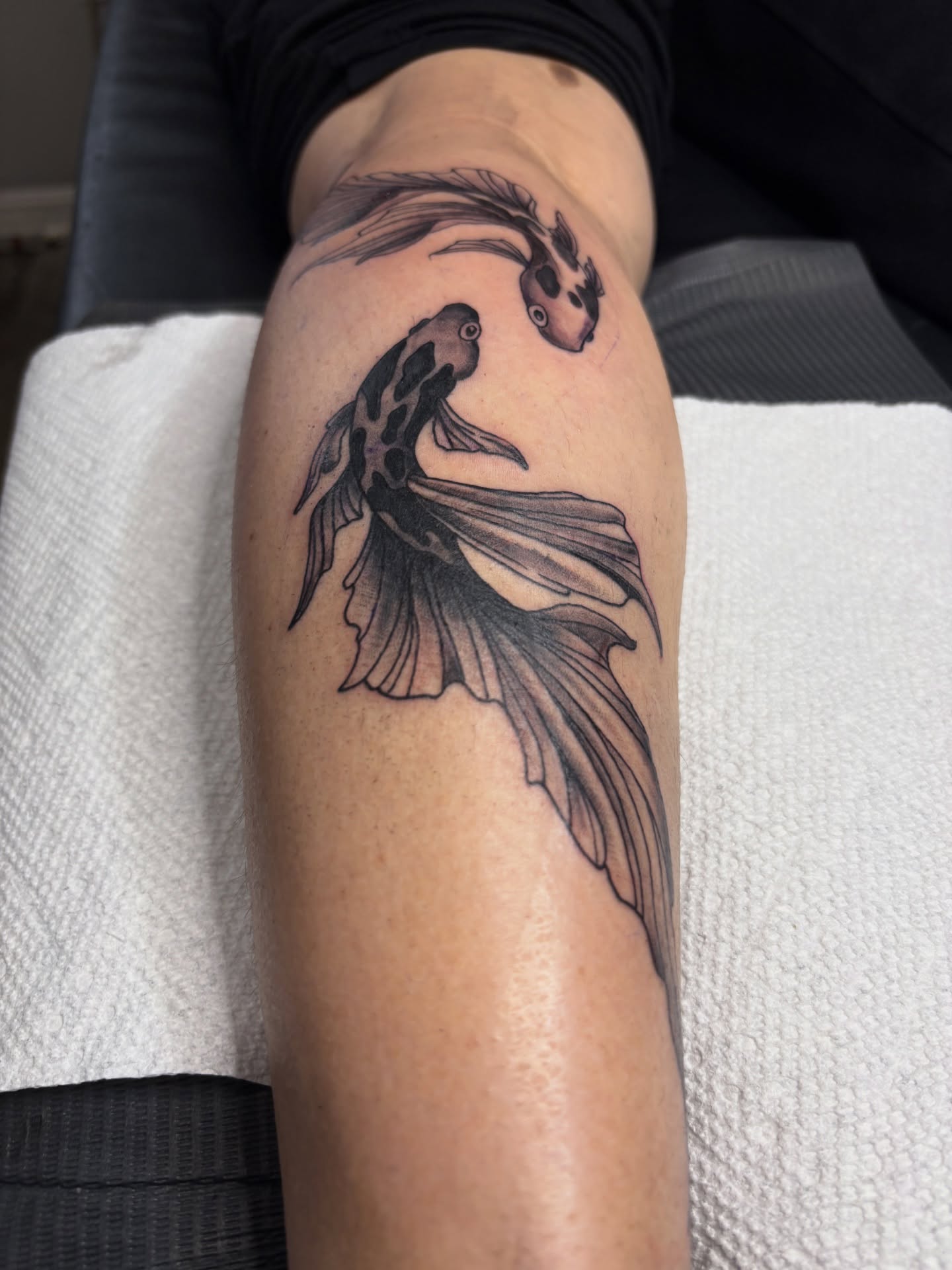 Koi fish black and grey tattoo on the forearm by Casey - Tattooer, Salem, Massachusetts