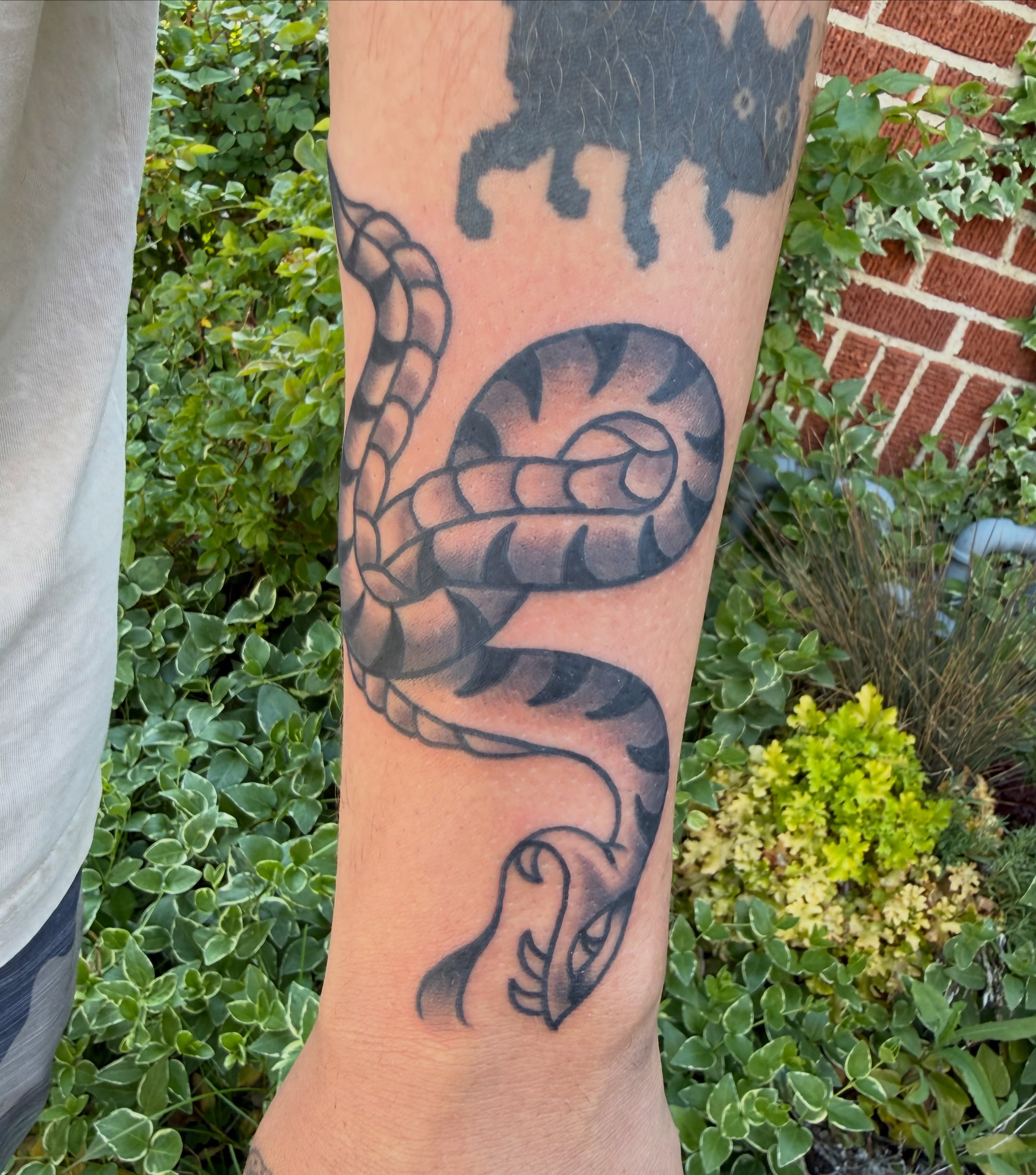 Snake black and grey tattoo on the forearm by Kaysen