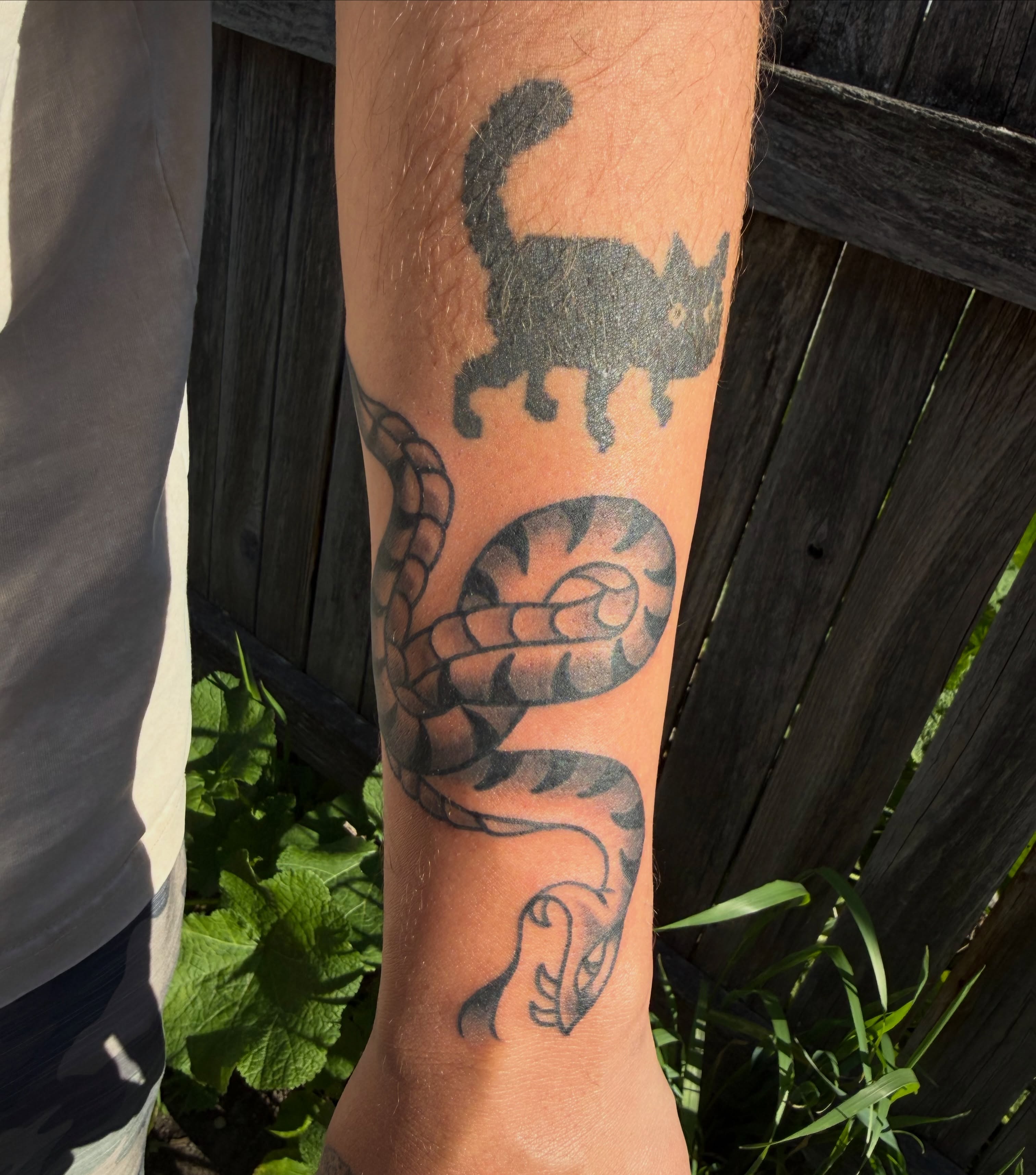 Cat and snake black and grey tattoo on the forearm by Kaysen