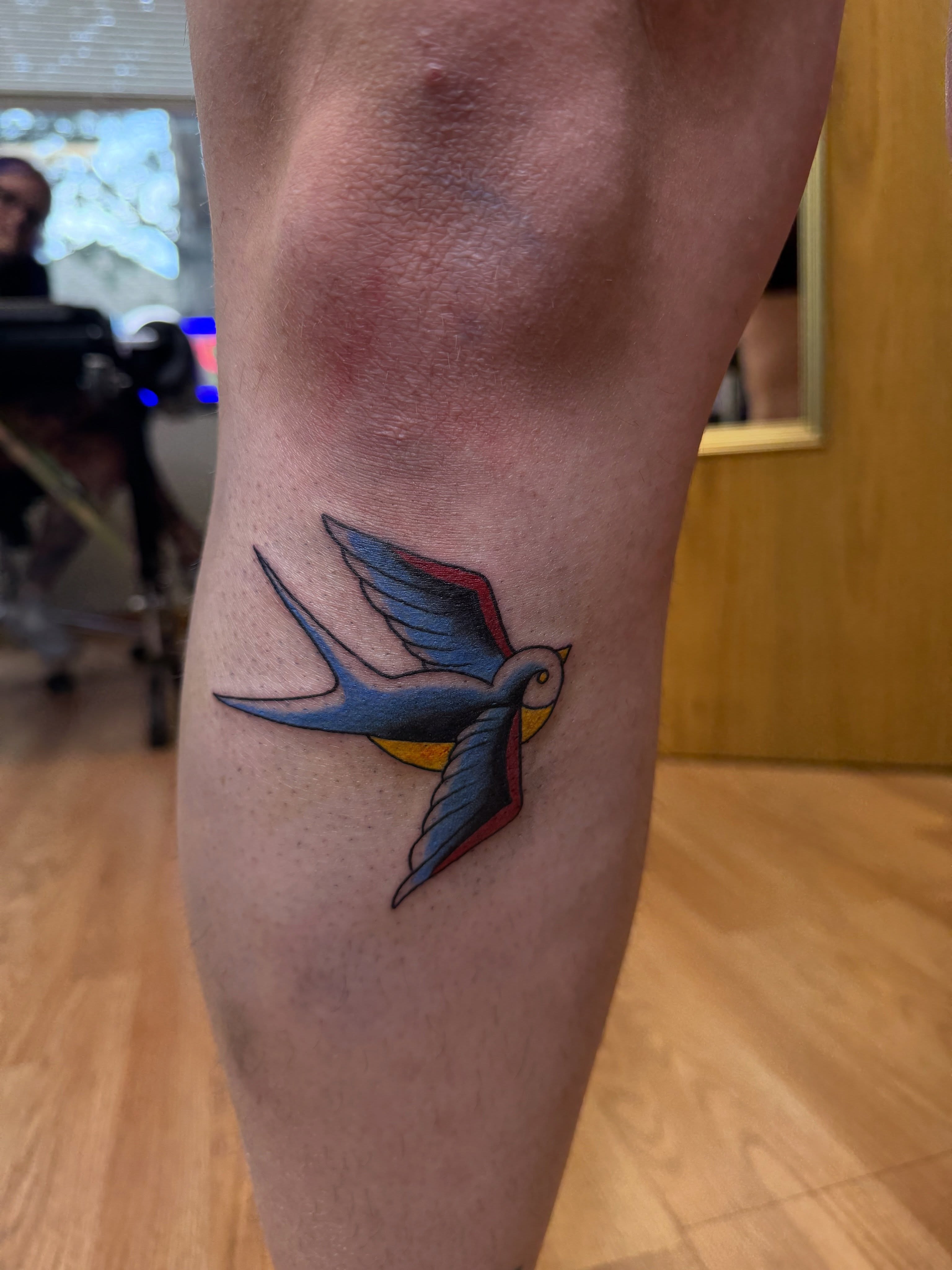 Swallow American traditional tattoo on the forearm by Palmer Andrist🩸Fort Collins Tattoo Apprentice