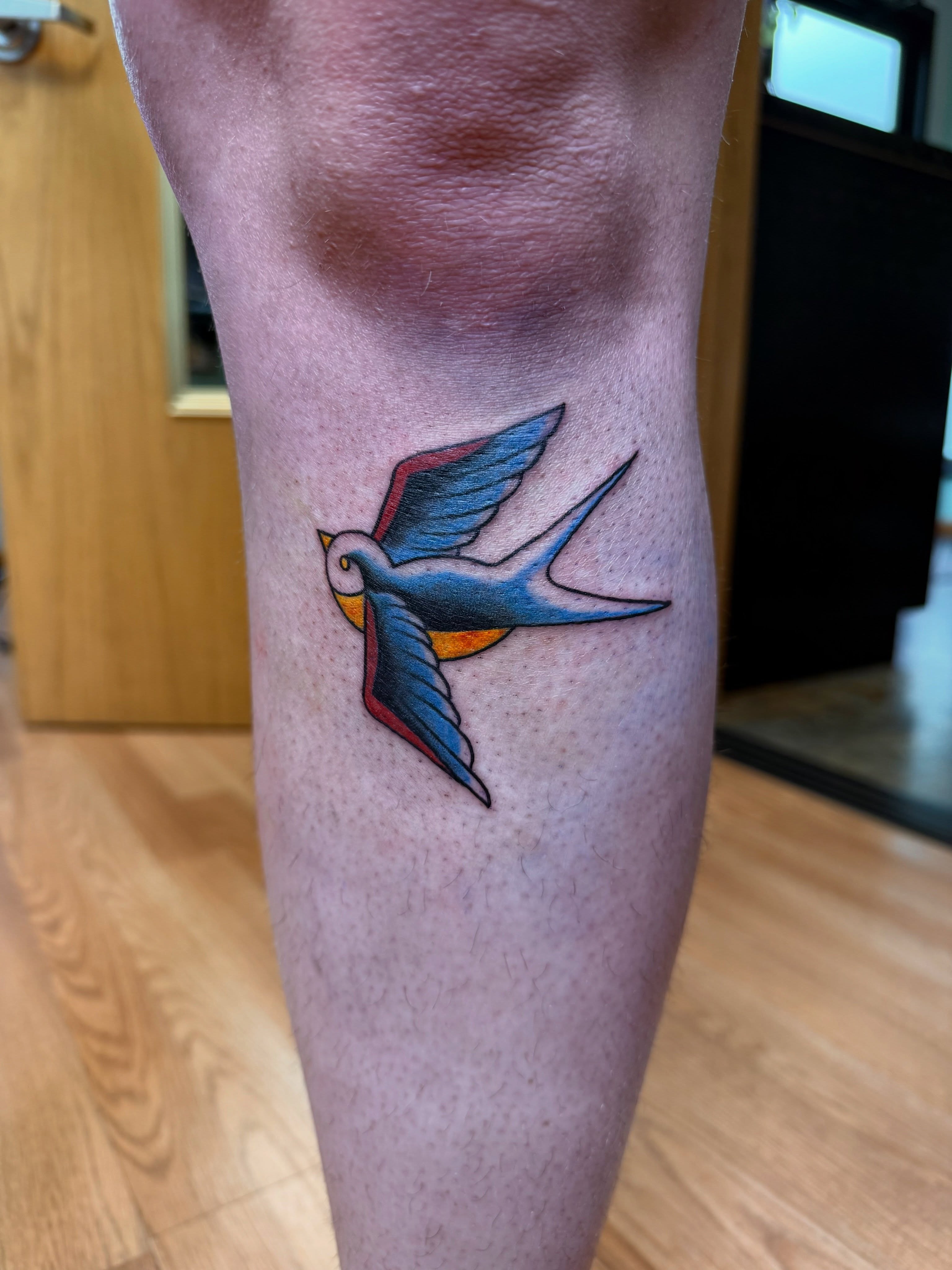 Swallow American traditional tattoo on the leg by Palmer Andrist🩸Fort Collins Tattoo Apprentice