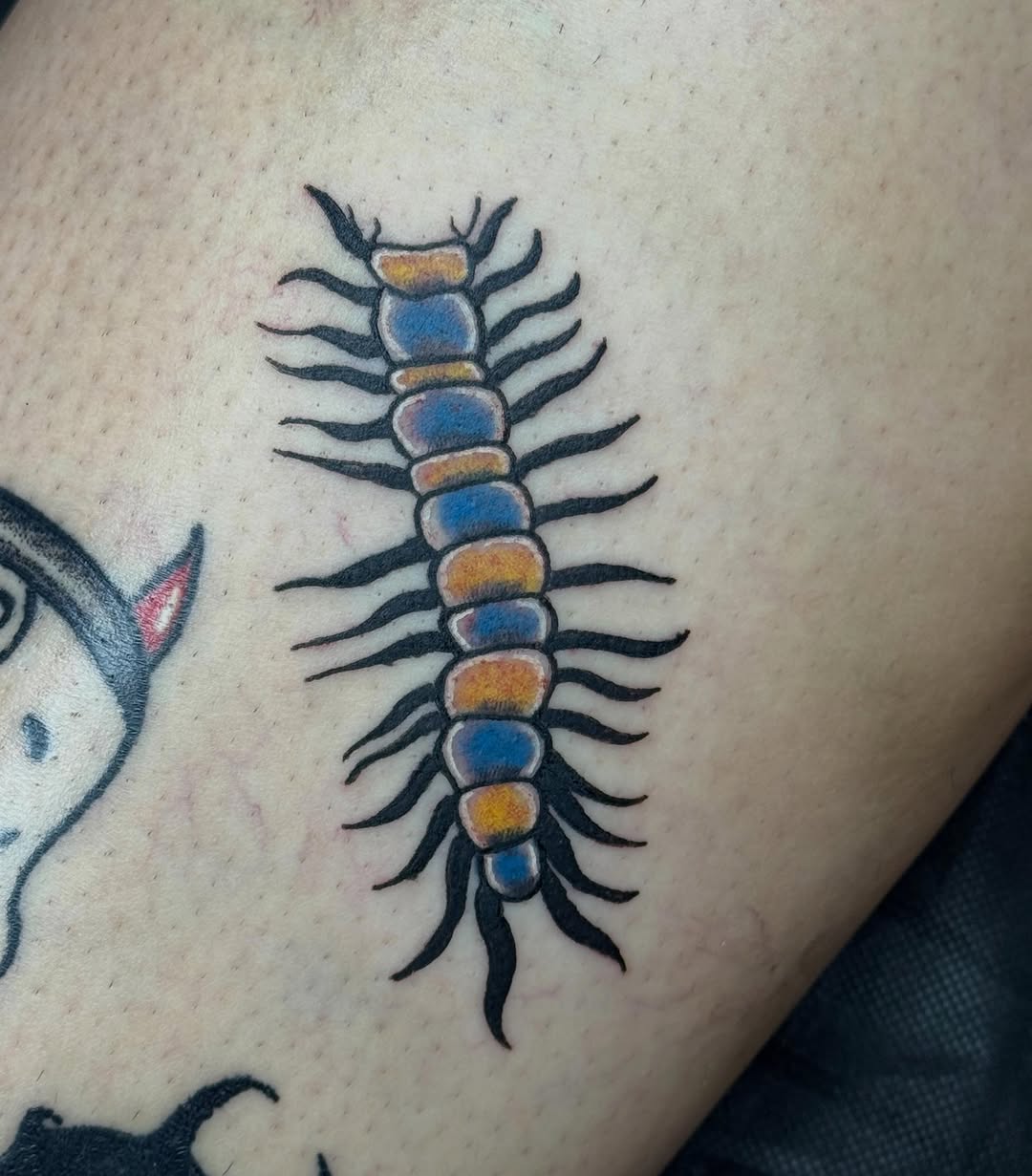 Centipede American traditional tattoo on the thigh by 🌛 𐌀𐌋𐌄𐋄𐌉𐌔 🌜