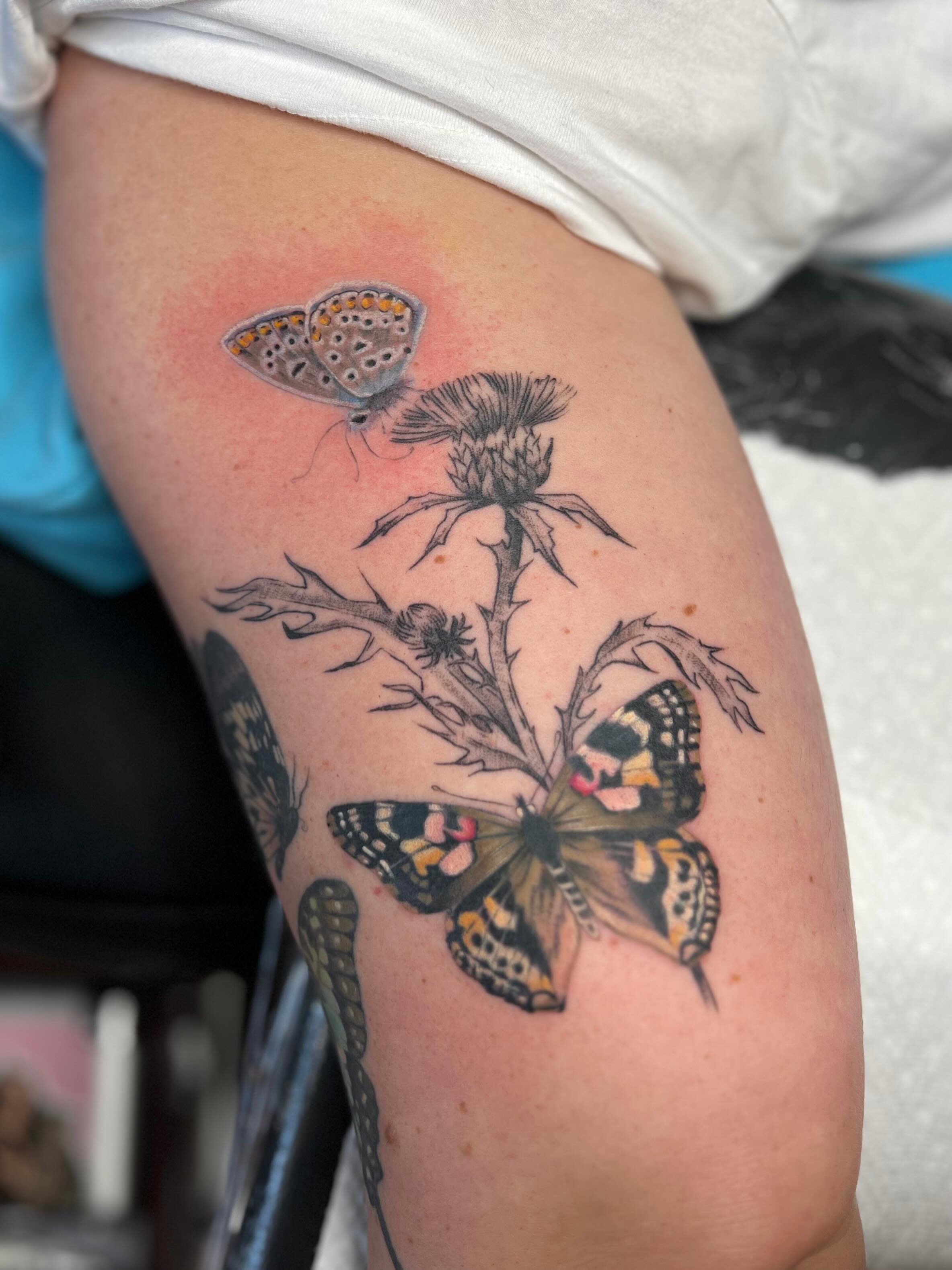 Butterflies and thistle realism tattoo on the thigh by 𝗕𝗿𝗮𝗻𝗱𝘆  𝗪𝗼𝗼𝗱𝗳𝗼𝗿𝗱