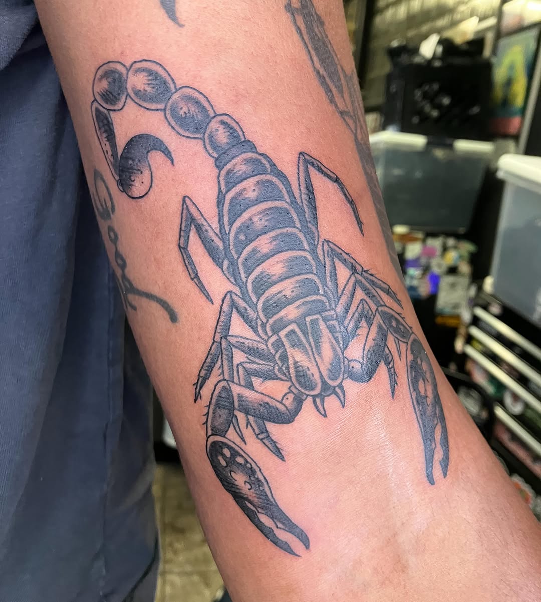 Scorpion black and grey tattoo on the forearm by maddie mcghee, Memphis, Tennessee