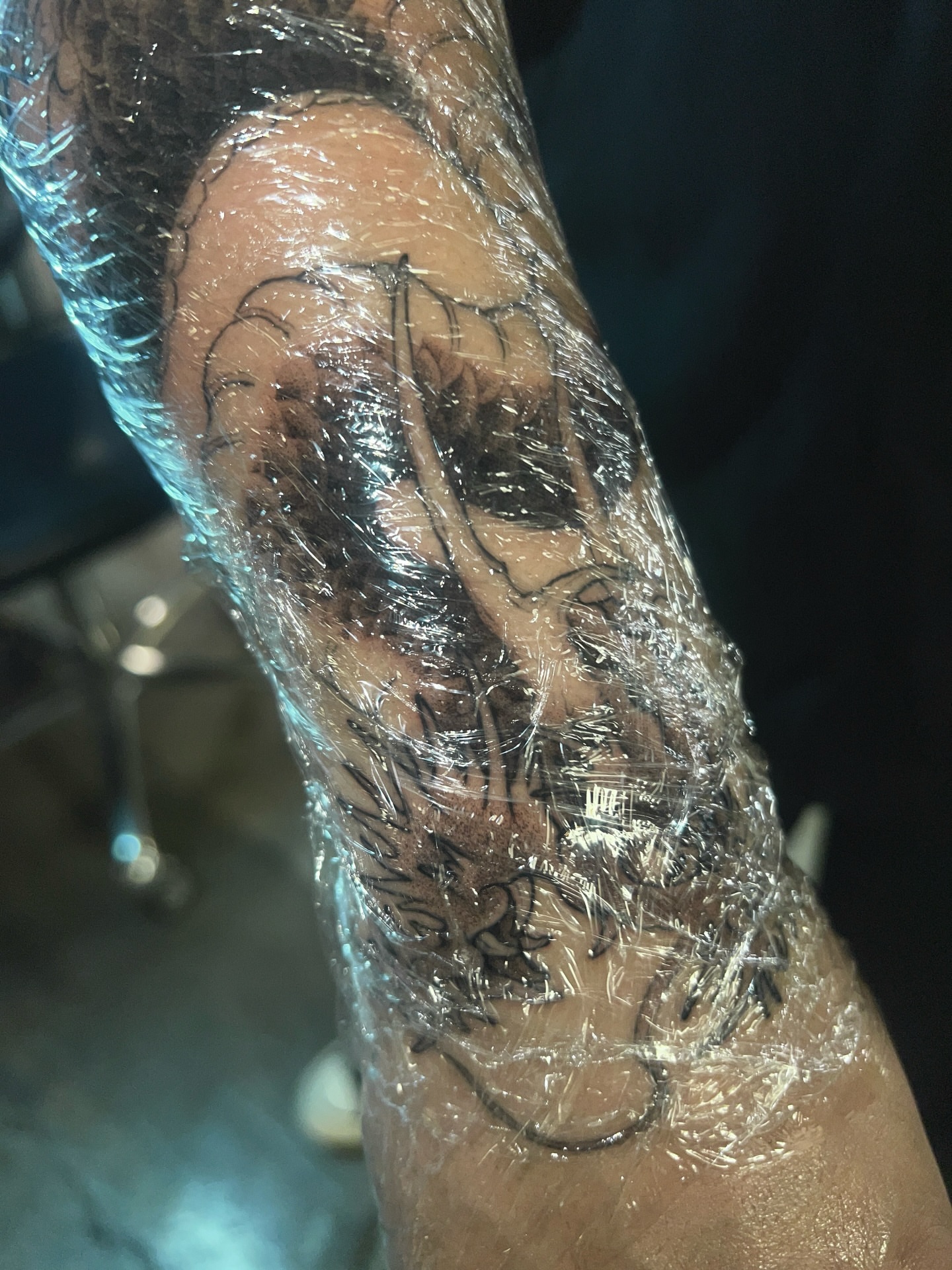 Tree and bicycle American traditional tattoo on the forearm by ♡ ant ☆