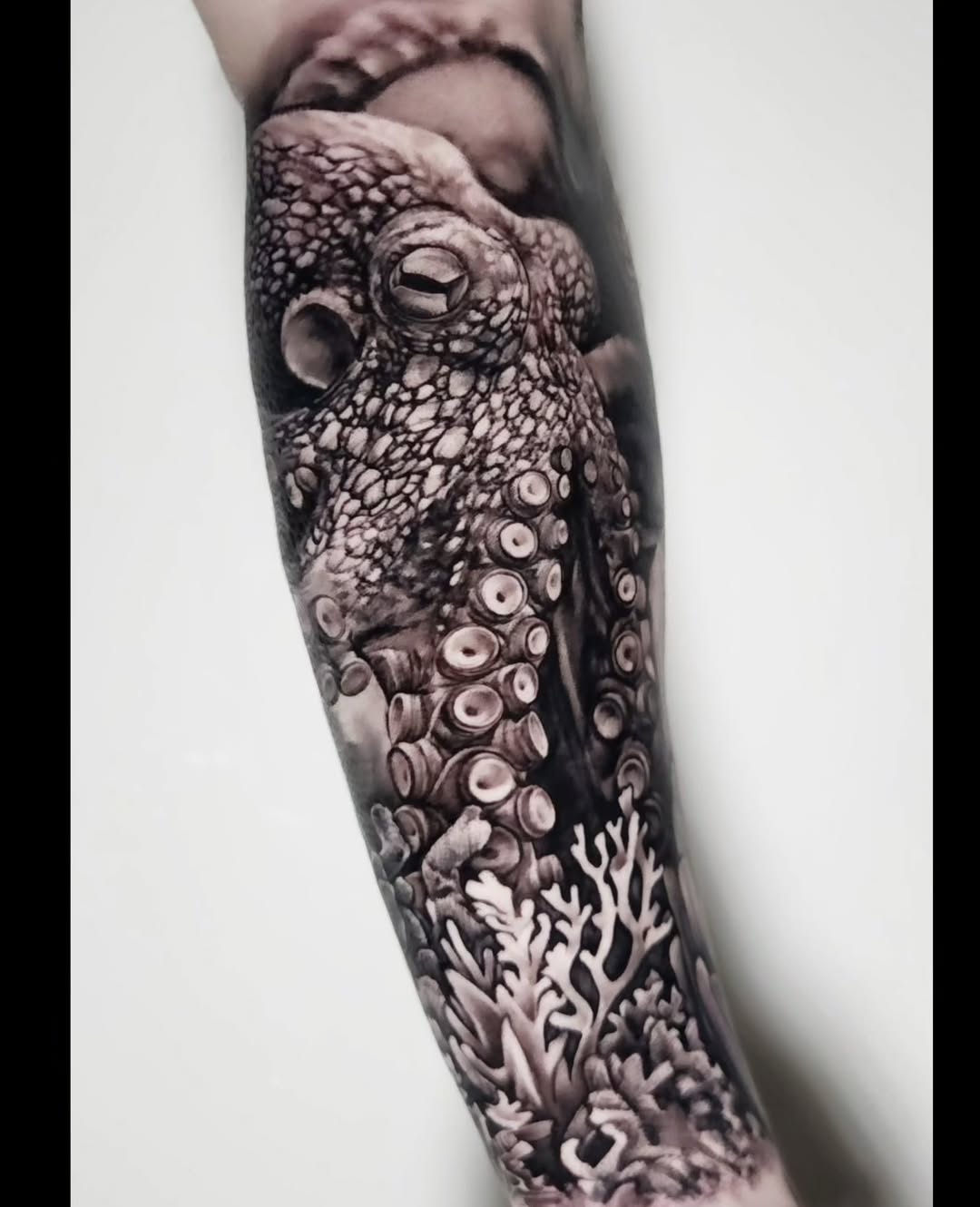 Octopus and coral realism tattoo on the forearm by Elidia Veliz