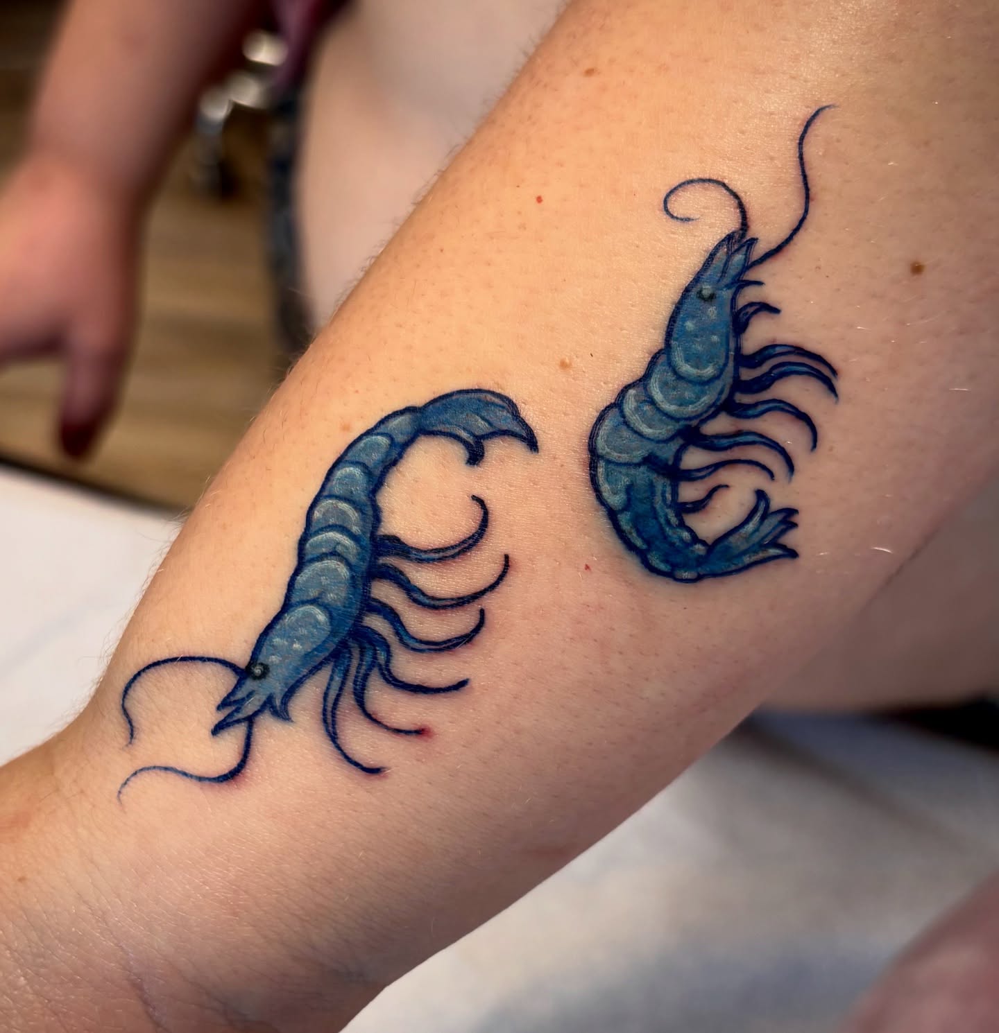 Prawns realism tattoo on the forearm by Cricket Elijah Cervidae