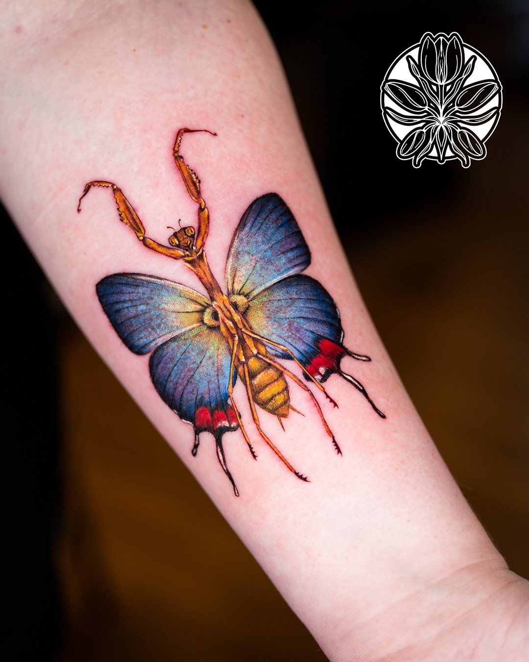 Butterfly realism tattoo on the forearm by Ori Merchan Tattoo, Kansas City, Missouri