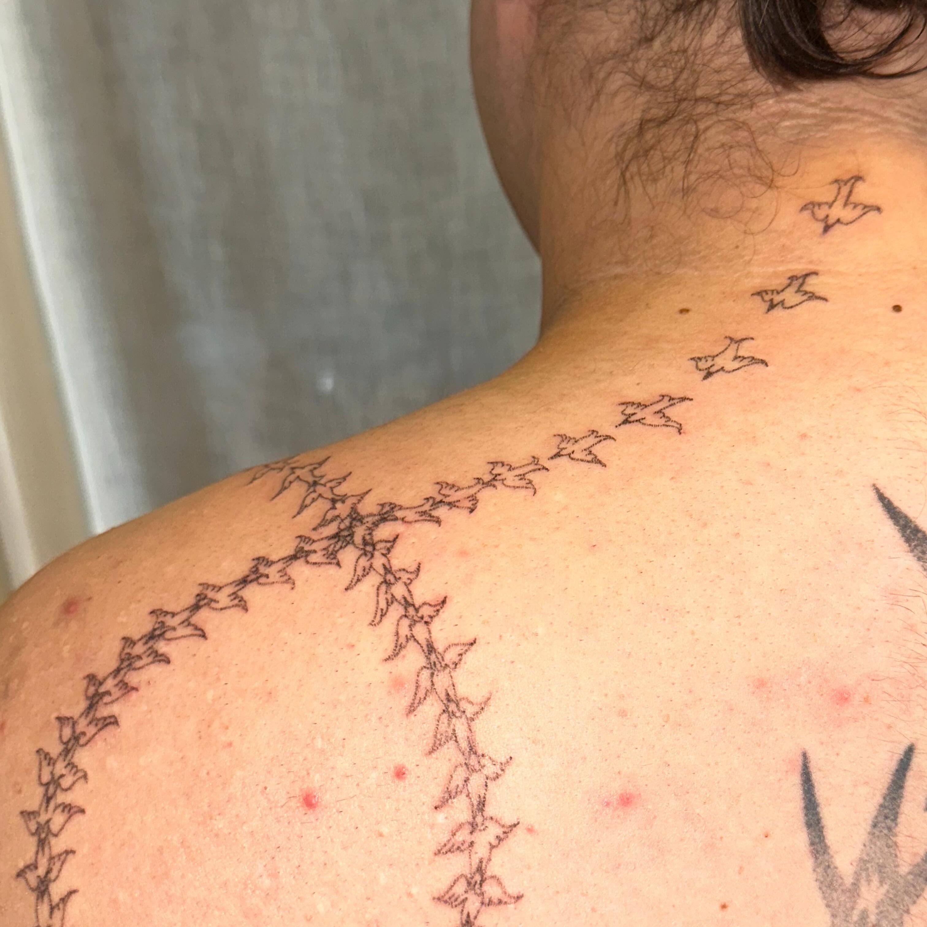 Birds flying fine line tattoo on the back by kate