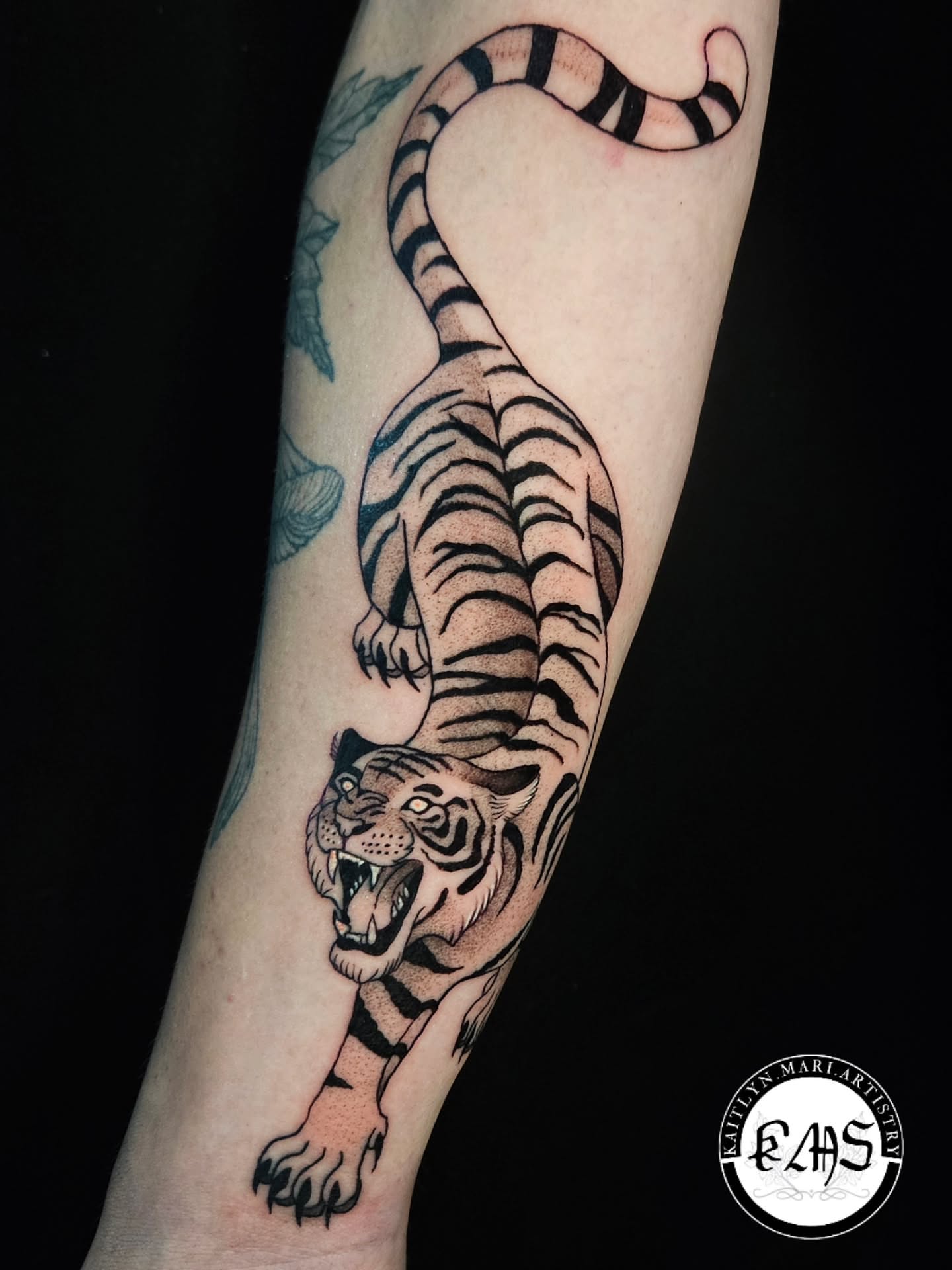 Tiger American traditional tattoo on the forearm by Kaitlyn Marianna Skewes 🌙 Illustrative