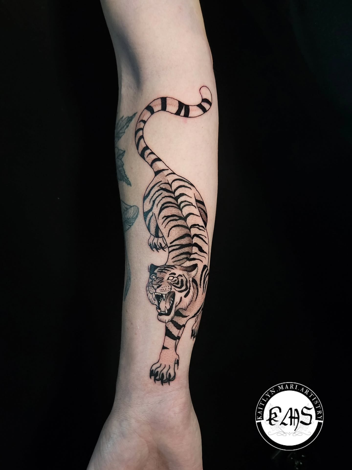 Tiger black and grey tattoo on the forearm by Kaitlyn Marianna Skewes 🌙 Illustrative