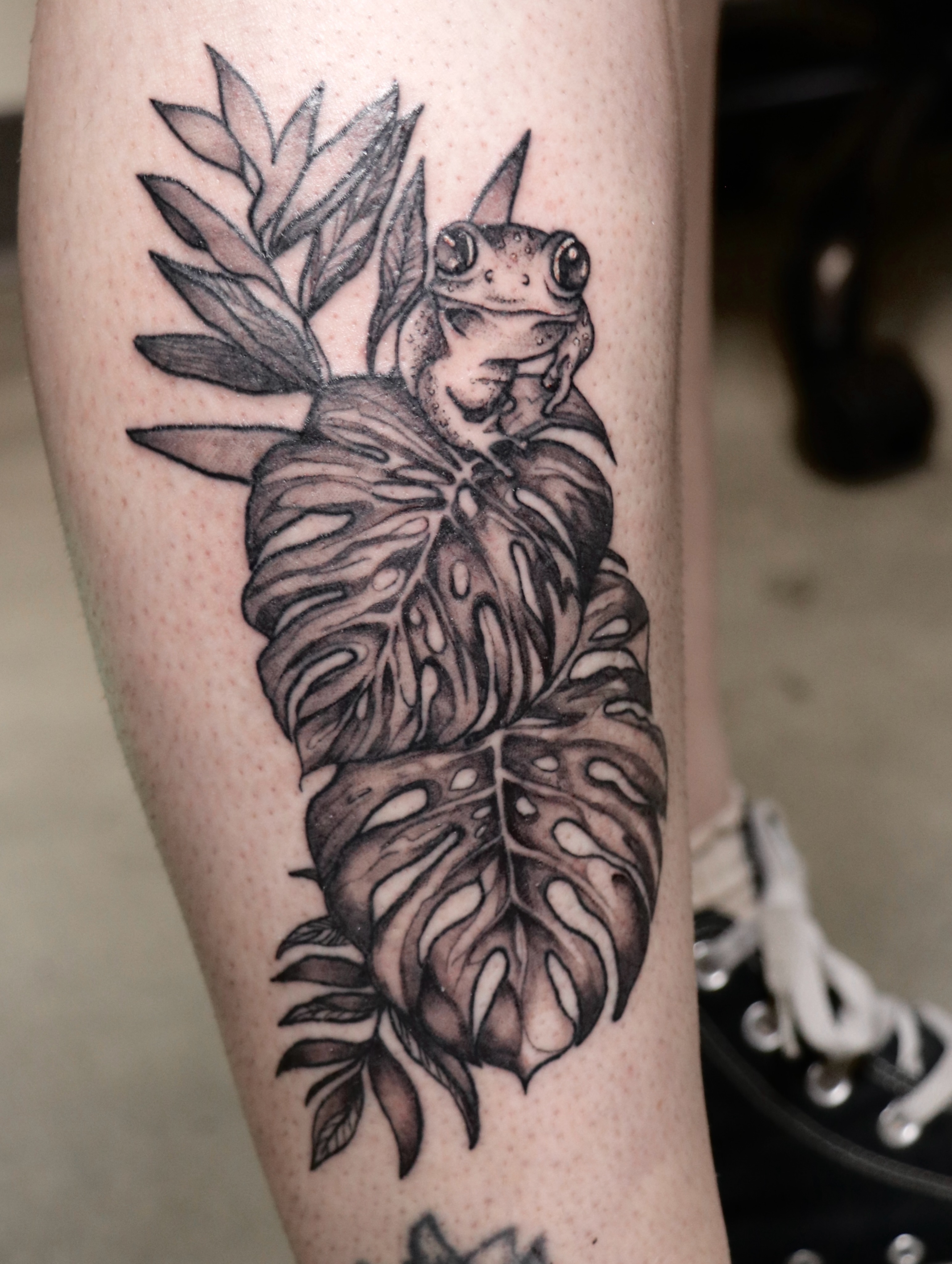 Frog and monstera leaf black and grey tattoo on the forearm by Love 🥀 222