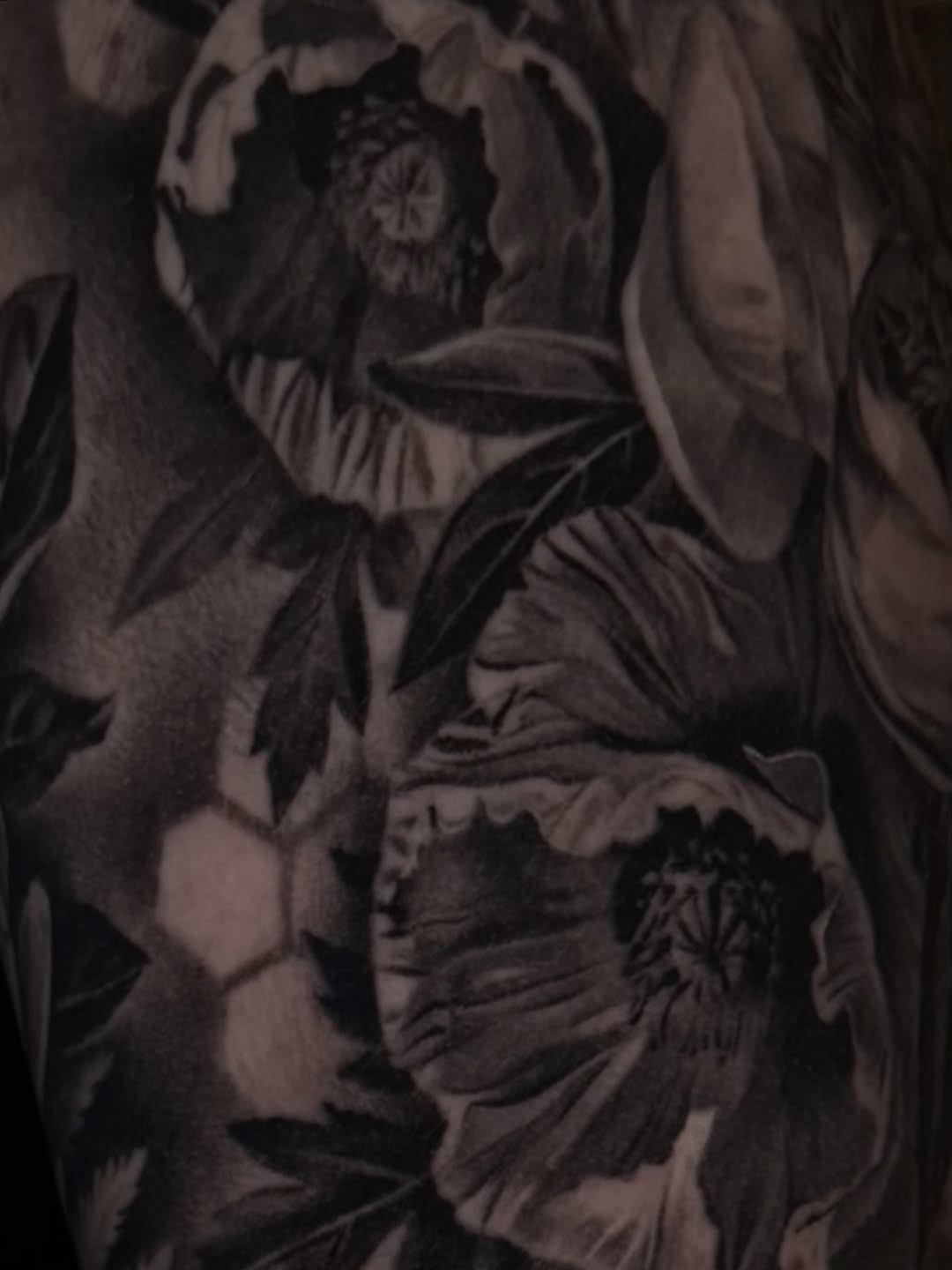 Tattoo by @caroline_yurek_tattoo — realism, black_and_grey