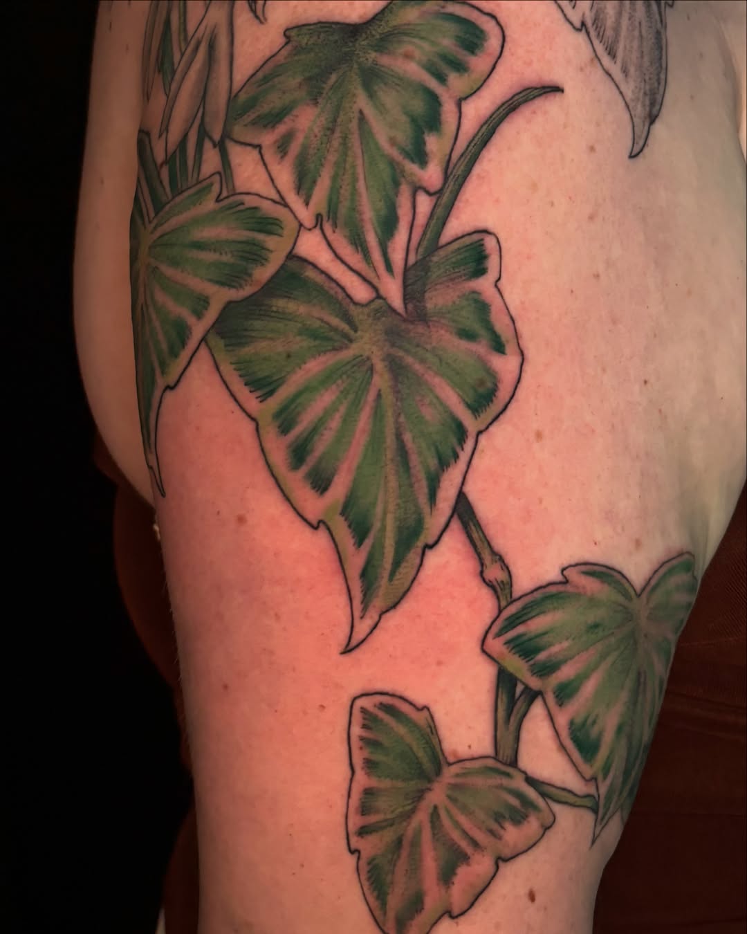 Tattoo by @vvxtattoos โ realism, botanical