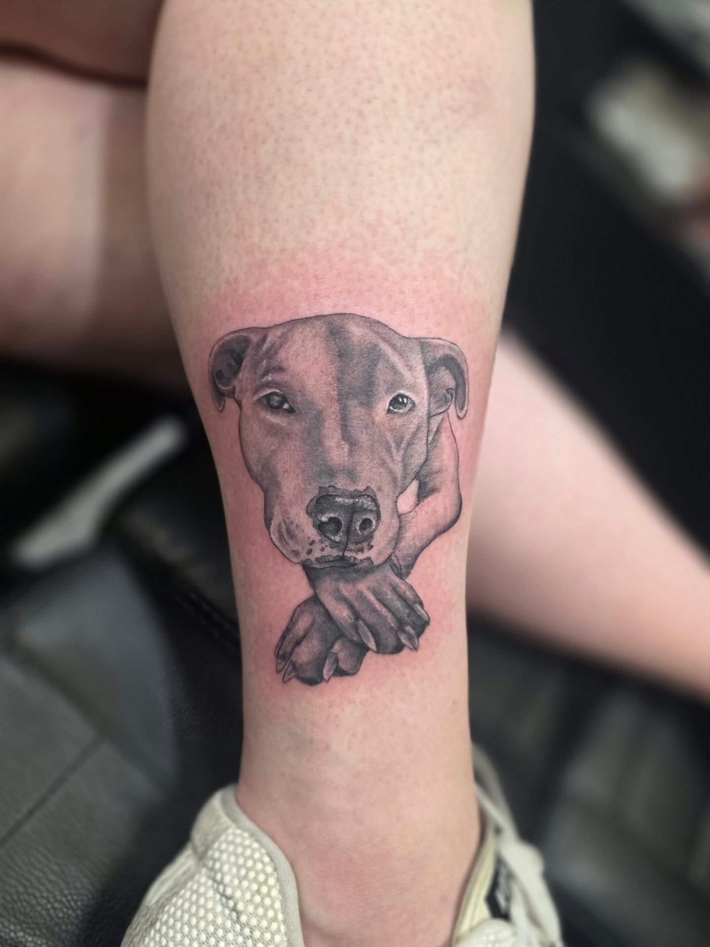 Dog realism tattoo on the forearm by Claudia Isabel Roman, El Paso, Texas