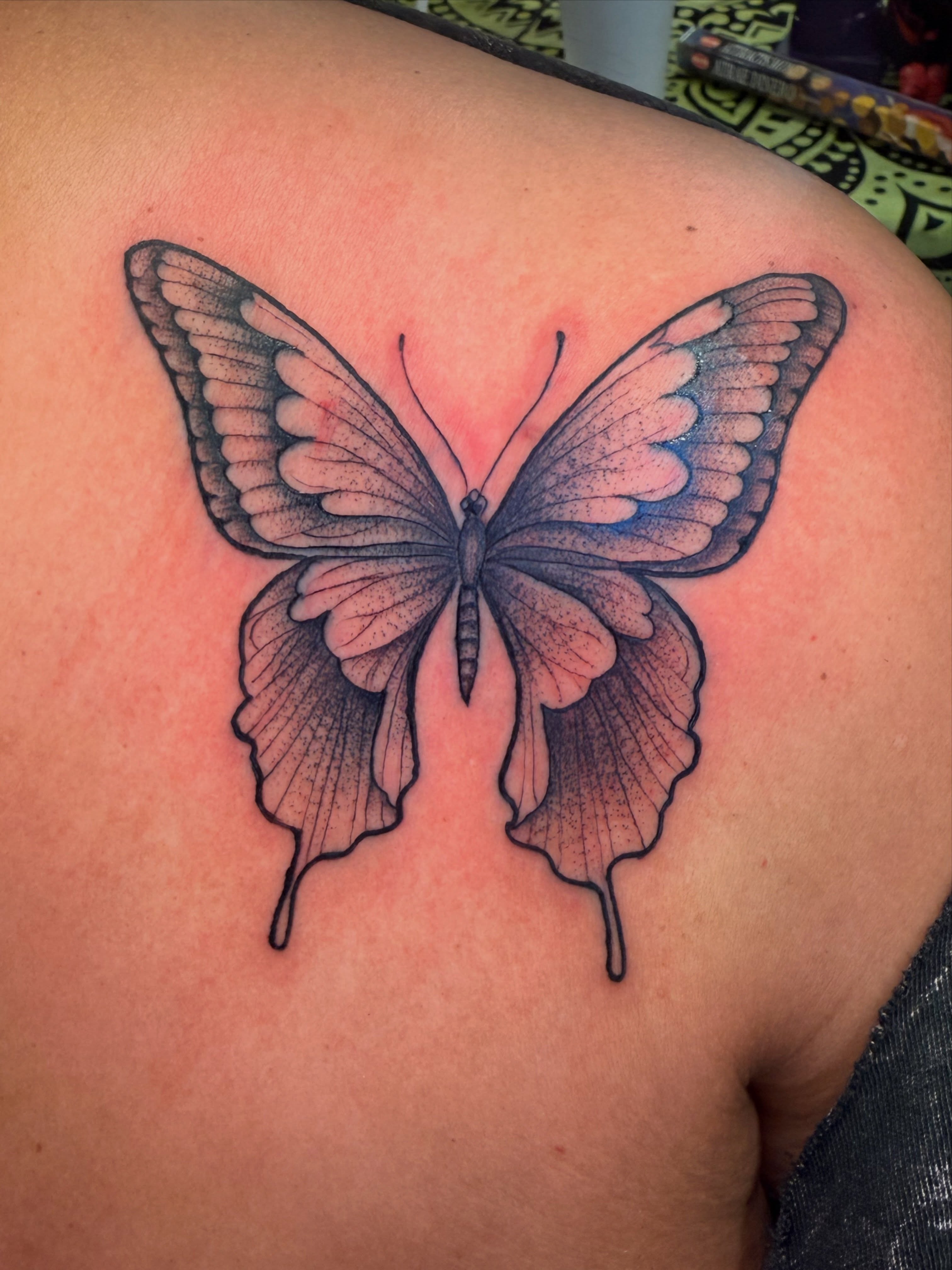 Butterfly dotwork tattoo on the back by Butta
