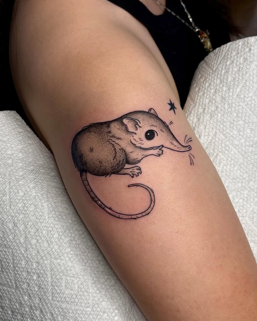 Shrew with stars fine line tattoo on the forearm by ⓣⓞⓡⓘ, Bangor, Maine
