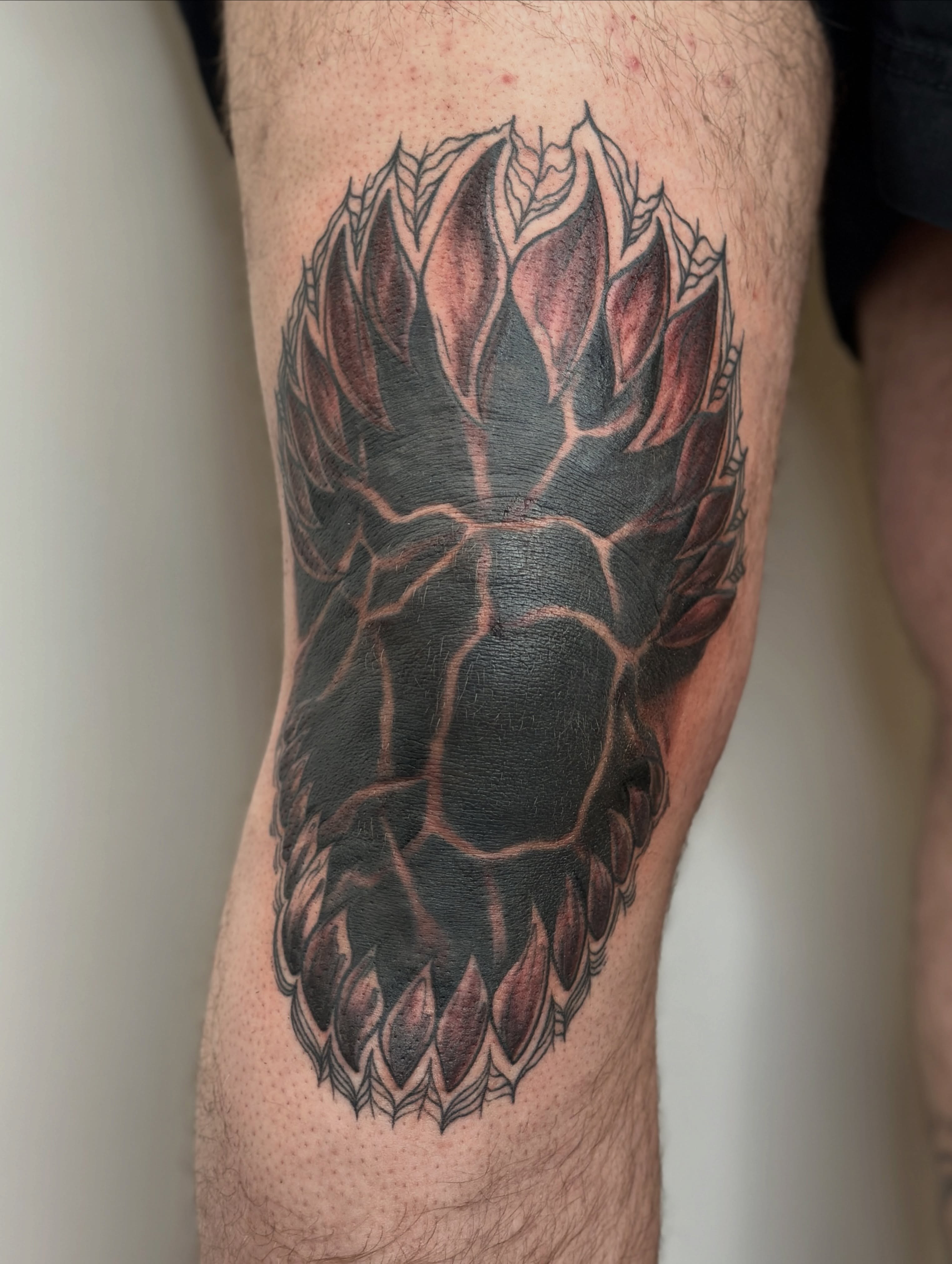 Sunflower black and grey tattoo on the forearm by Gabrielle Brodman 🎀 Raleigh-Durham Tattoo