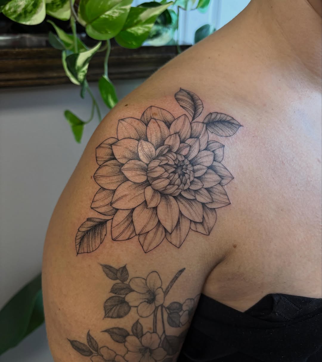 Dahlia flower black and grey tattoo on the shoulder by Hailey Nicole