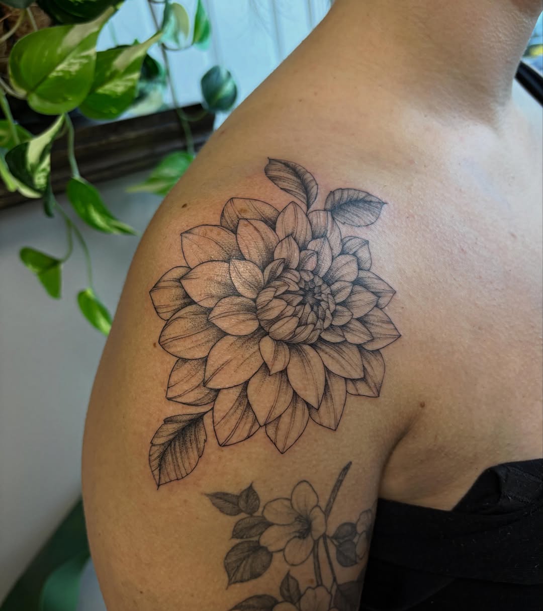 Dahlia flower black and grey tattoo on the shoulder by Hailey Nicole