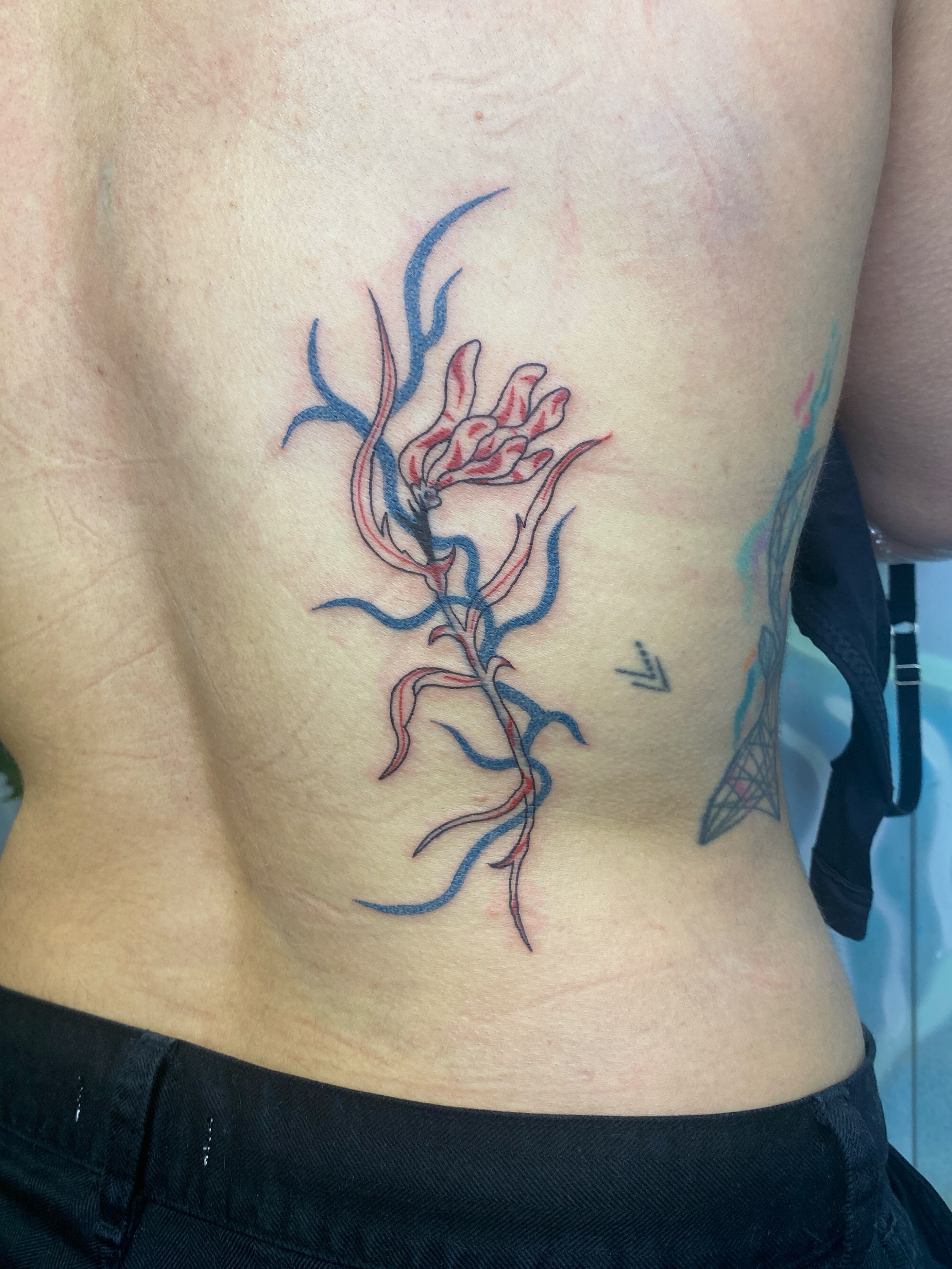 Tattoo by @kyklothymia — new_school