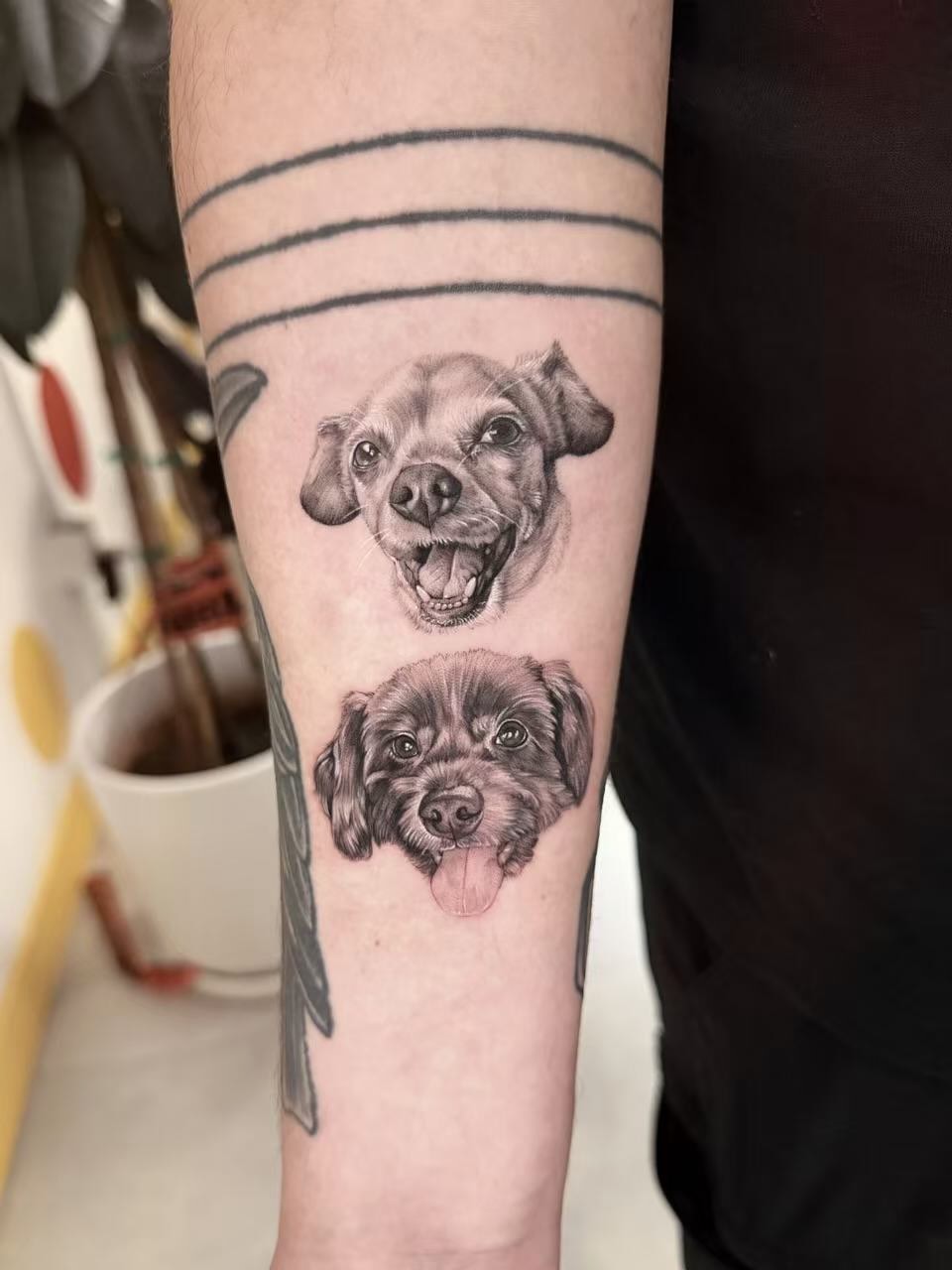 Dogs realism tattoo on the forearm by Nana