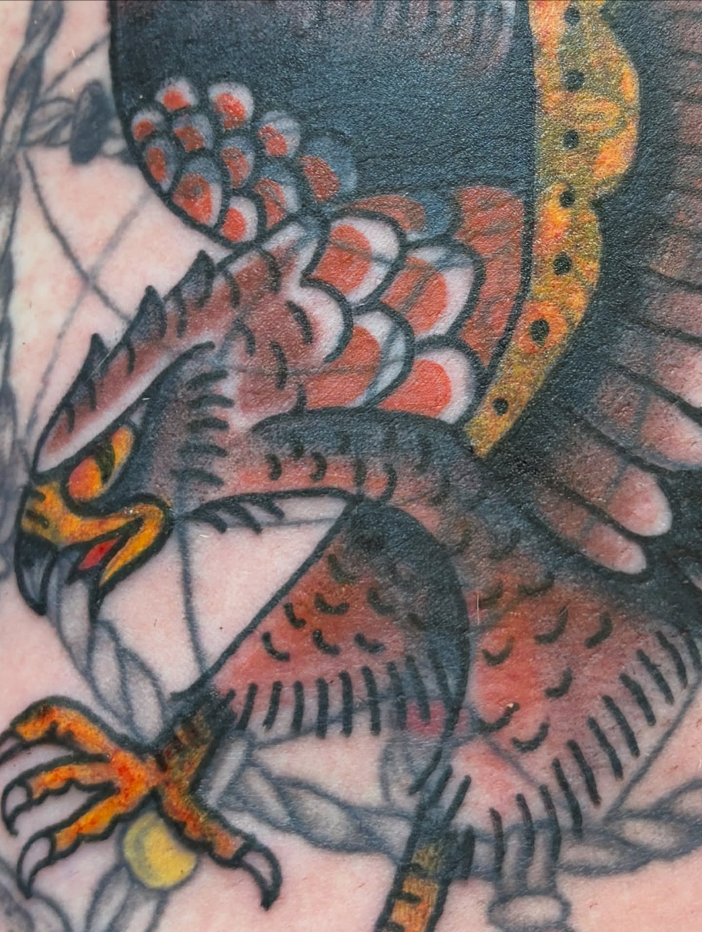 Bird American traditional tattoo on the upper arm by Casey - Tattooer, Salem, Massachusetts