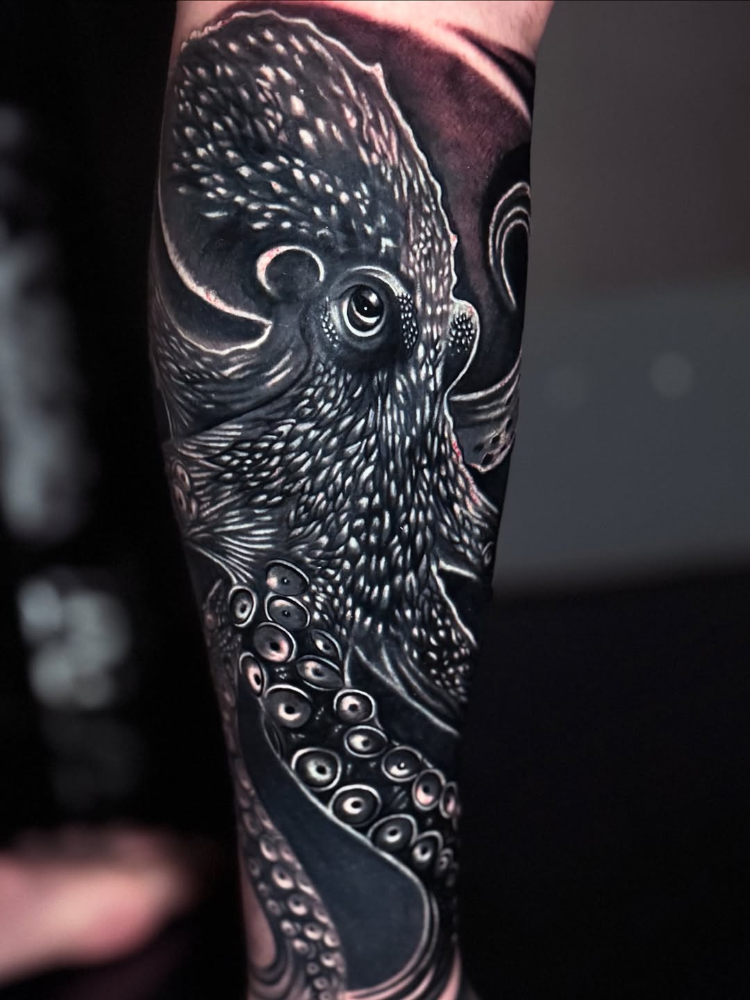 Octopus realism tattoo on the forearm by Chris galvis, Charlotte, North Carolina