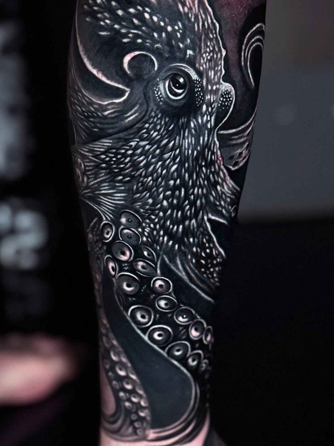 Octopus realism tattoo on the forearm by Chris galvis, Charlotte, North Carolina