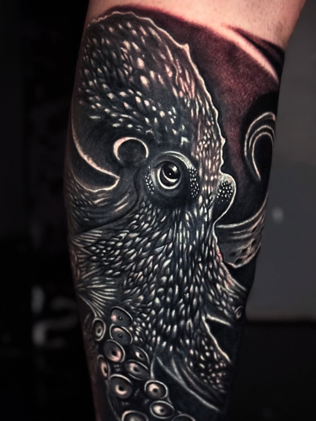 Octopus realism tattoo on the forearm by Chris galvis, Charlotte, North Carolina