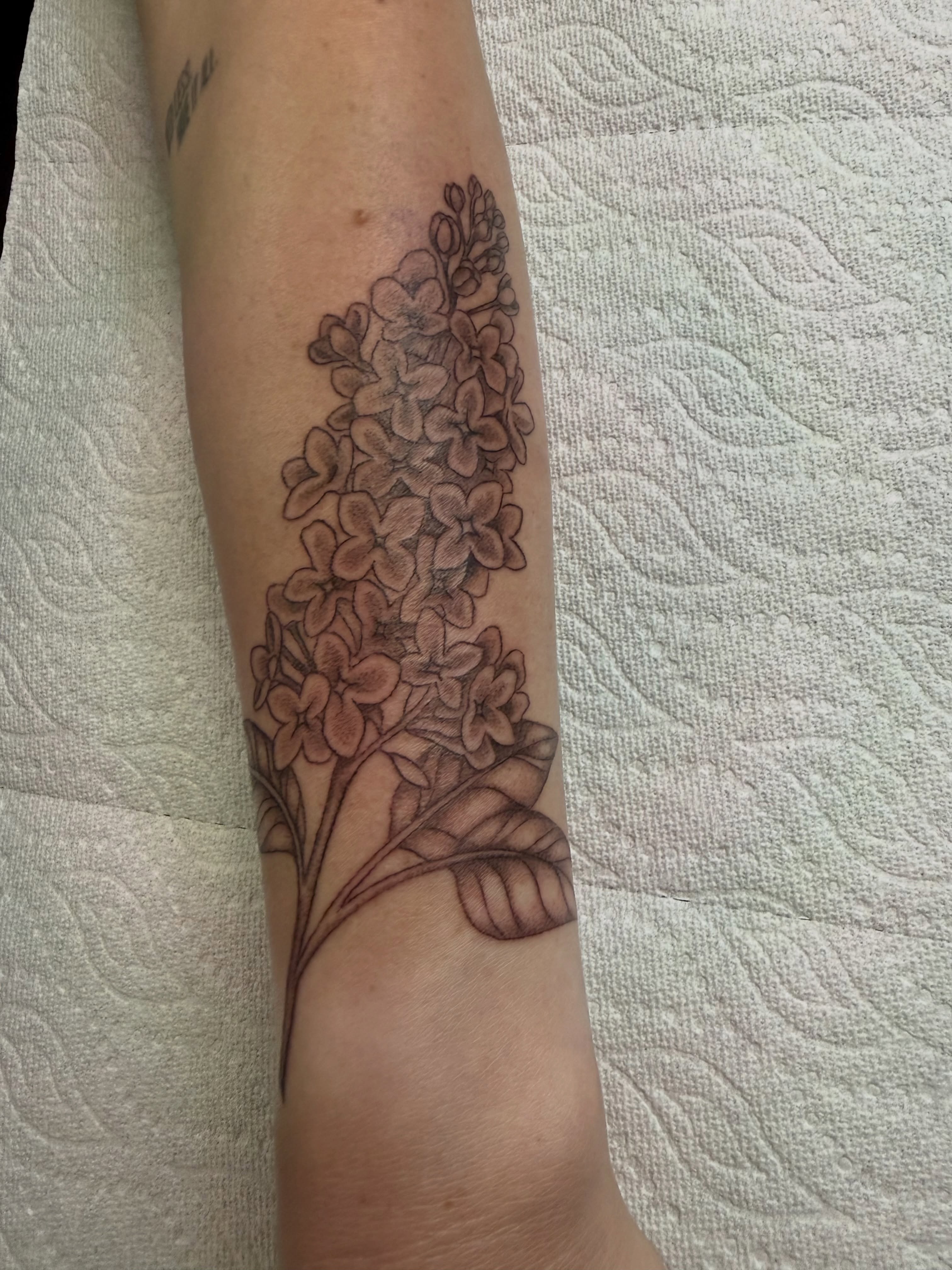 Hydrangea black and grey tattoo on the forearm by Melia Mariko