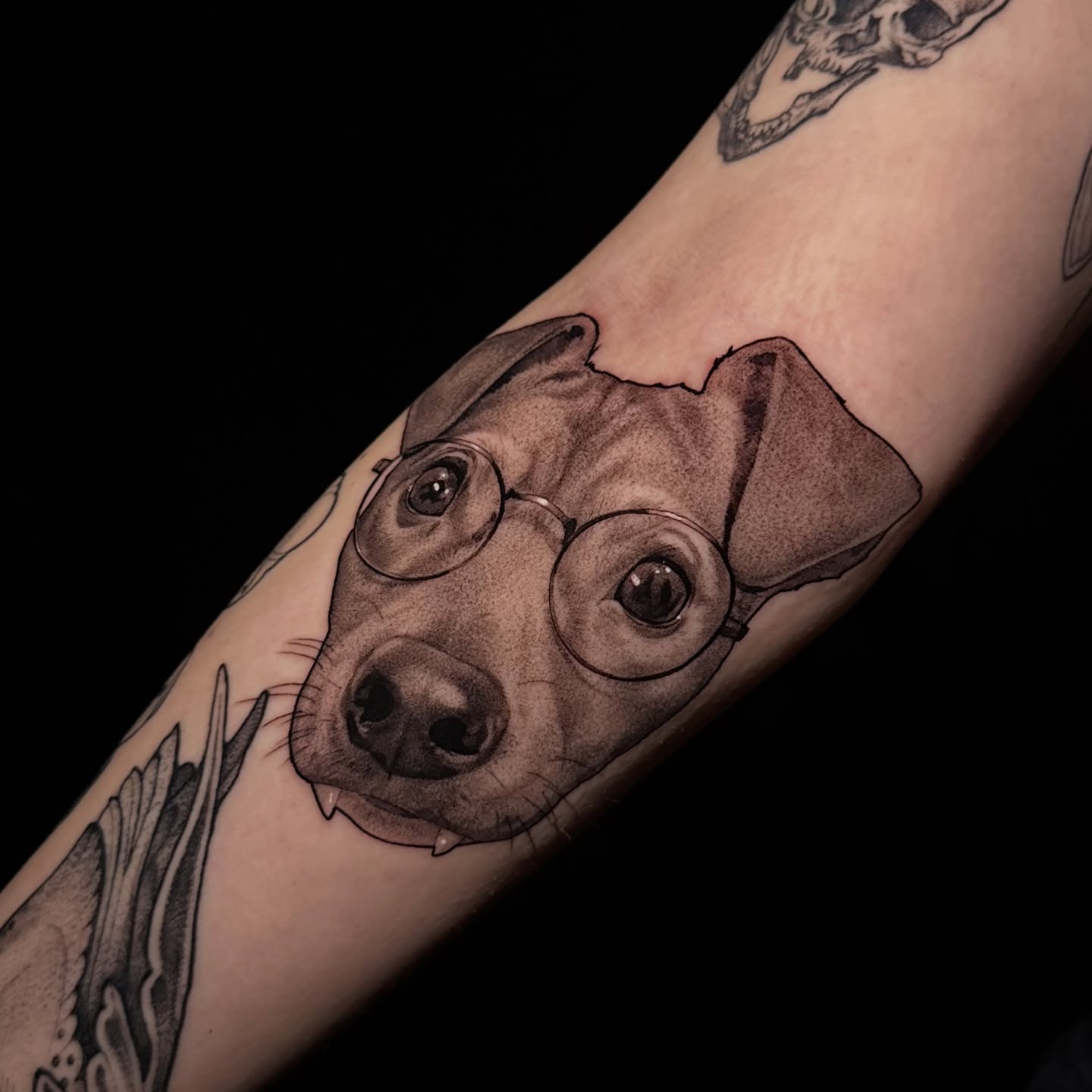 Dog wearing glasses realism tattoo on the forearm by Breah Beshore Kirk