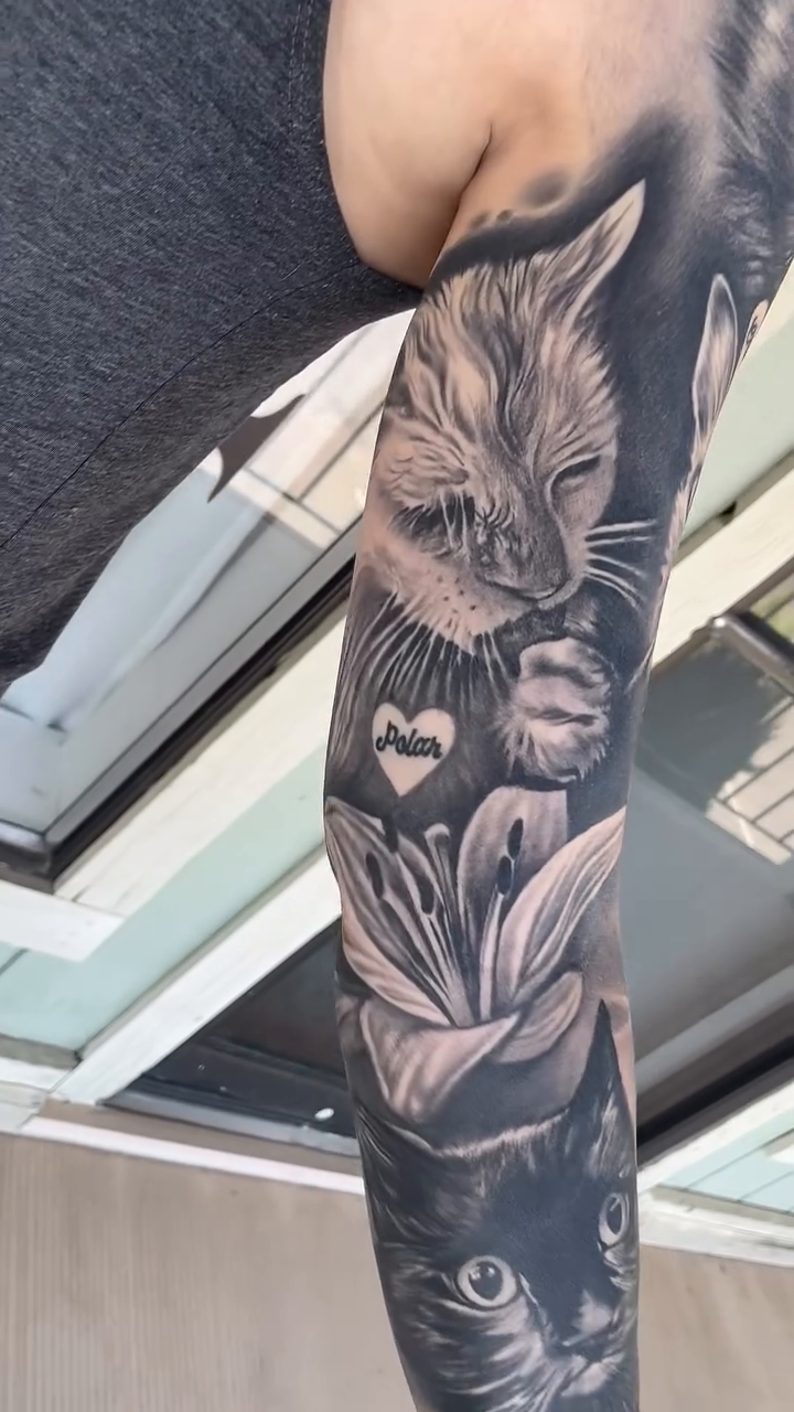 Cats and flowers realism tattoo by Frank Mostek