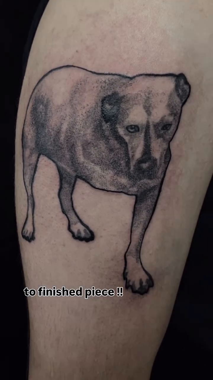 Dog portrait realism tattoo on the forearm by ande