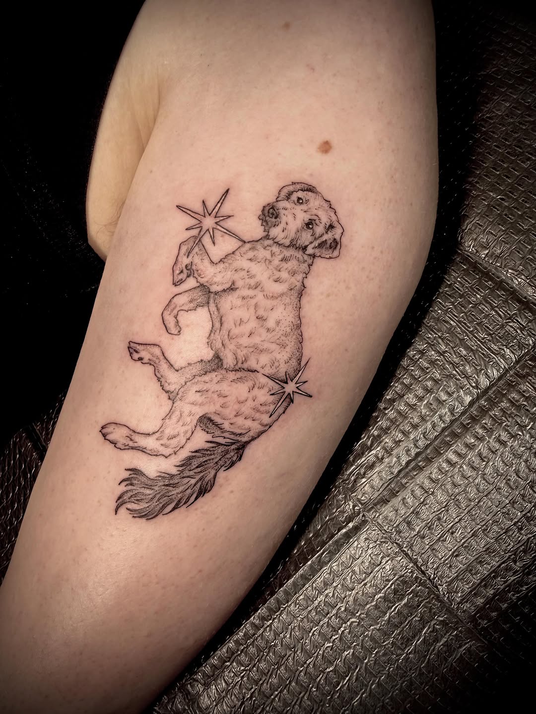 Tattoo by @christen_wolfe — fine_line, black_and_grey