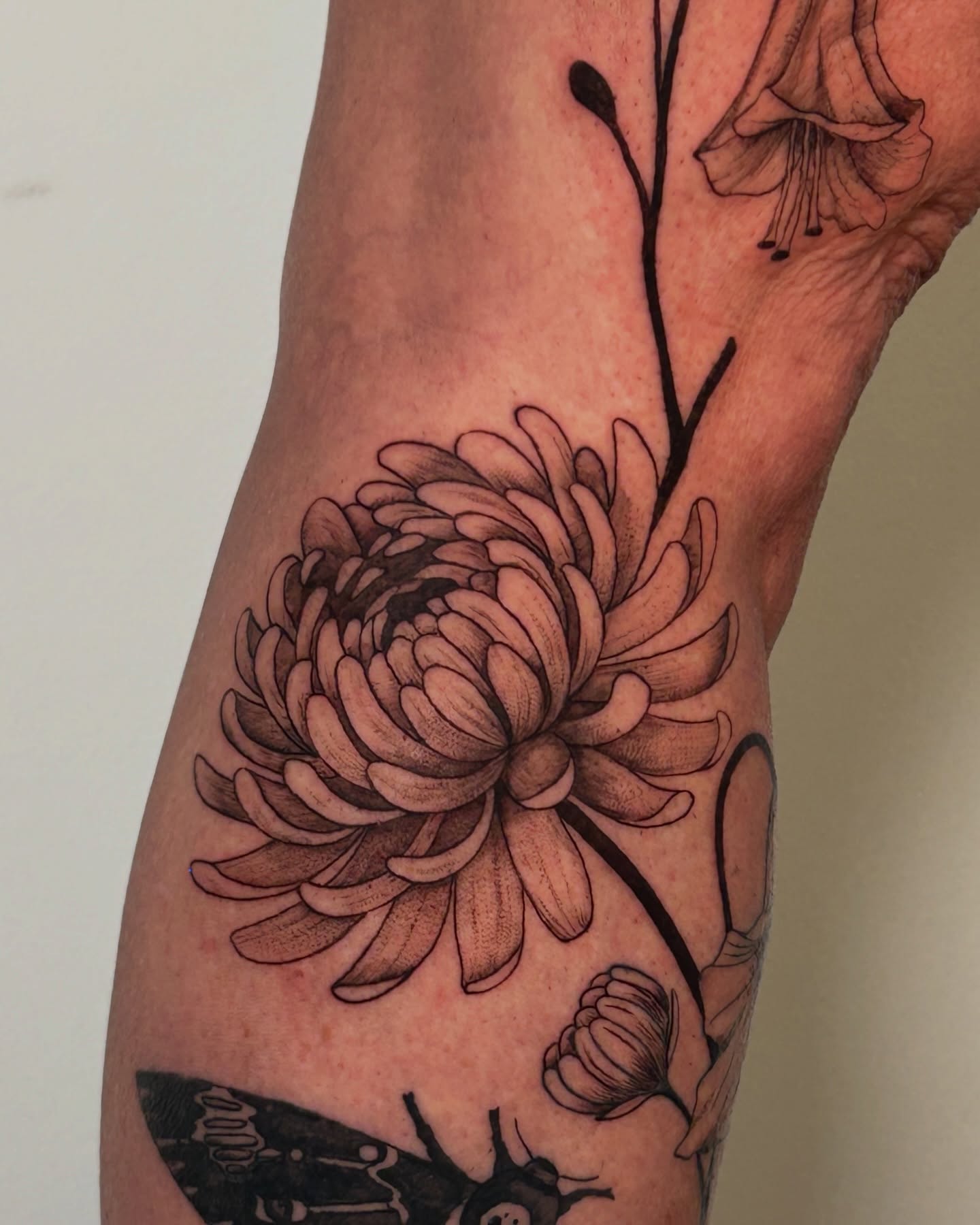 Tattoo by morgan birch / slc / tattoo artist, Salt Lake City, UT