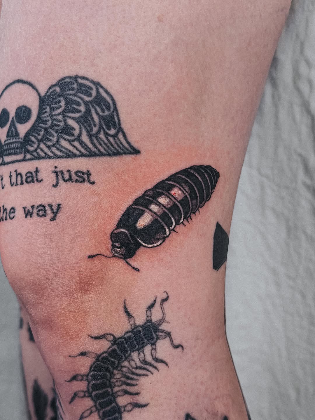 Tattoo by @lucy__yin — black_and_grey, realism