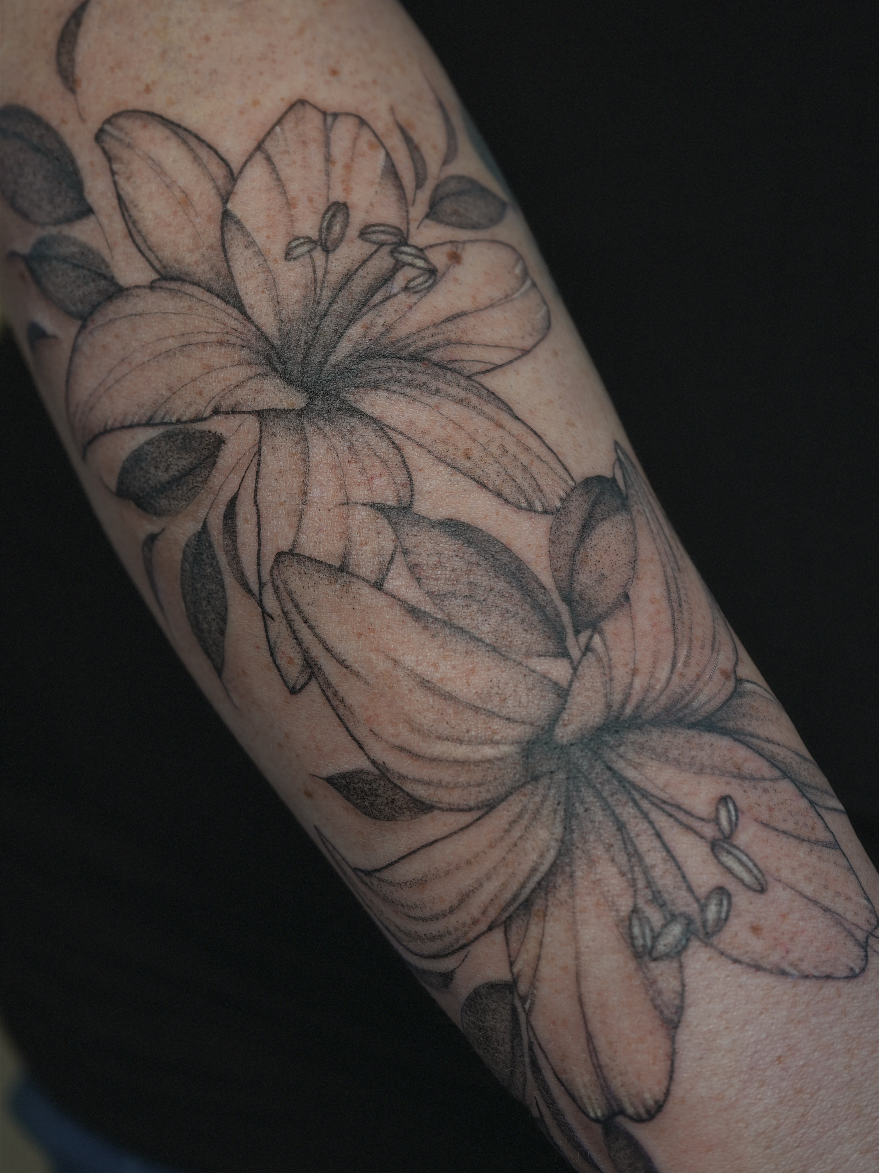 Lily flowers black and grey tattoo on the forearm by ❤️‍🔥 Abigail Chambers ❤️‍🔥