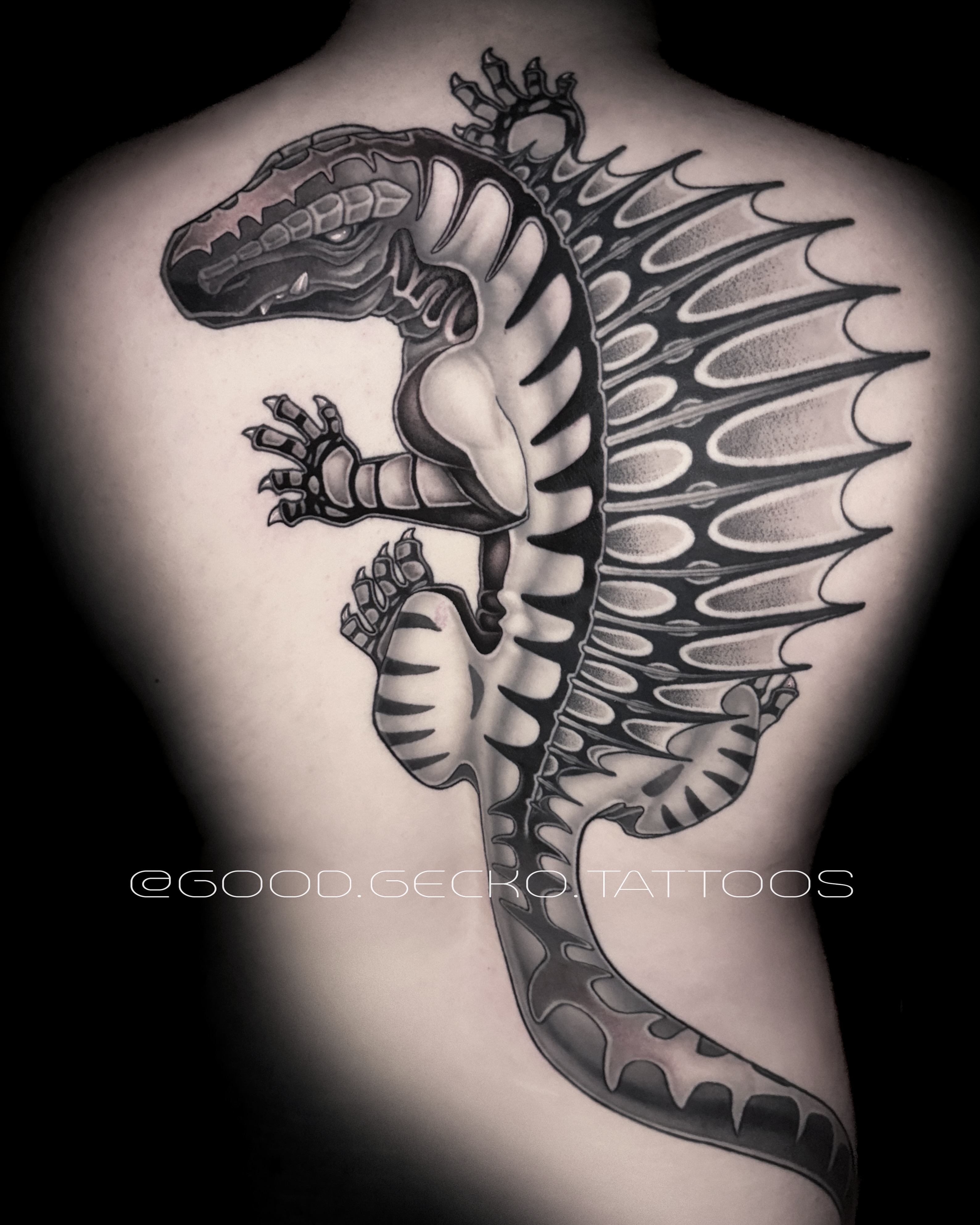 Dinosaur black and grey tattoo on the back by Gecko