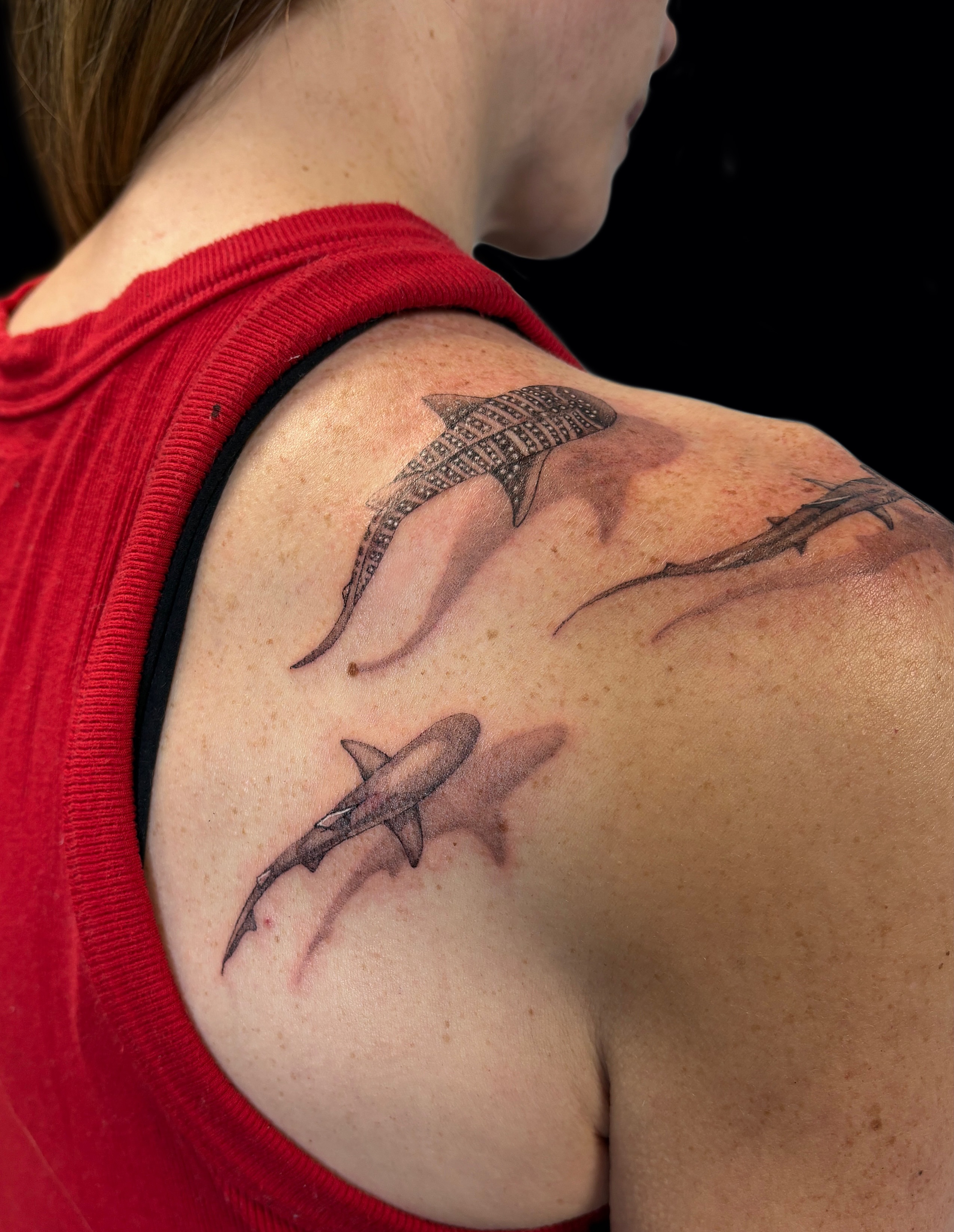 Sharks realism tattoo on the shoulder by Jessica McKinley Tattoo Artist