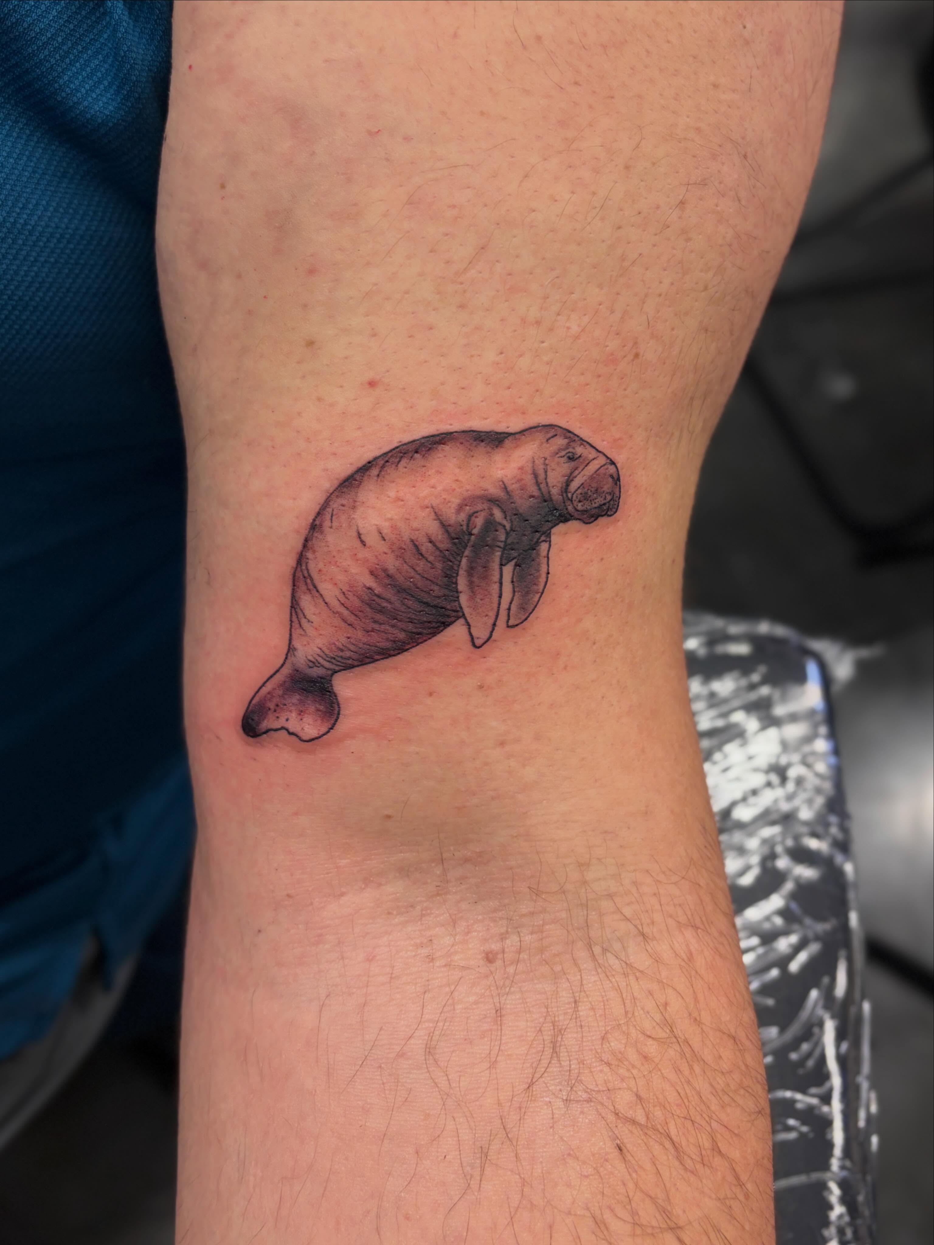 Manatee realism tattoo on the forearm by Zeninkz