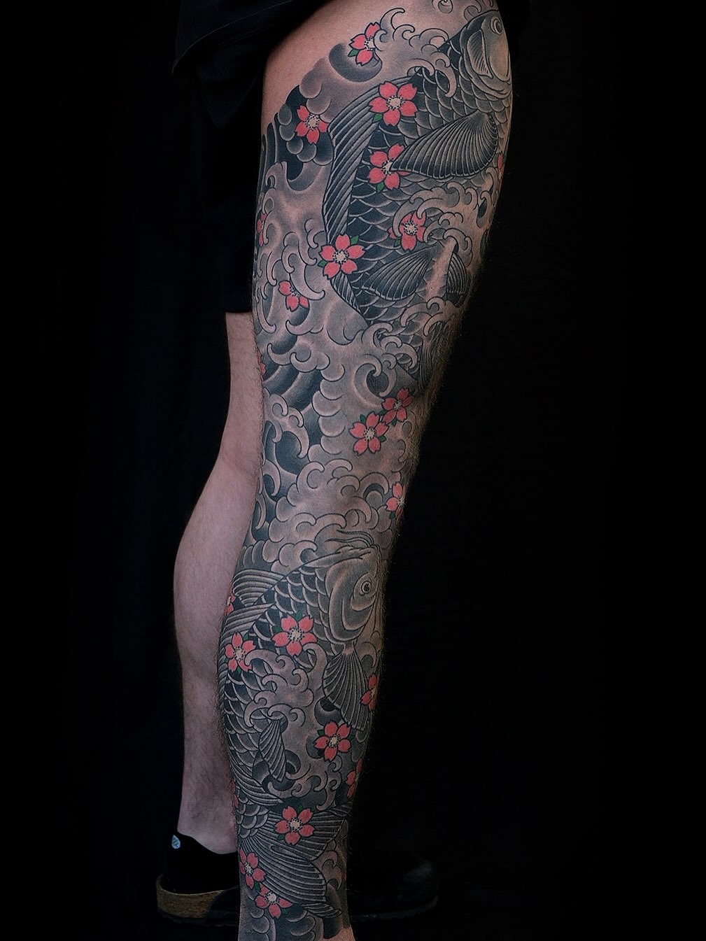 Koi fish and cherry blossoms Japanese tattoo on the calf by Erick Lynch, Cambridge, Massachusetts