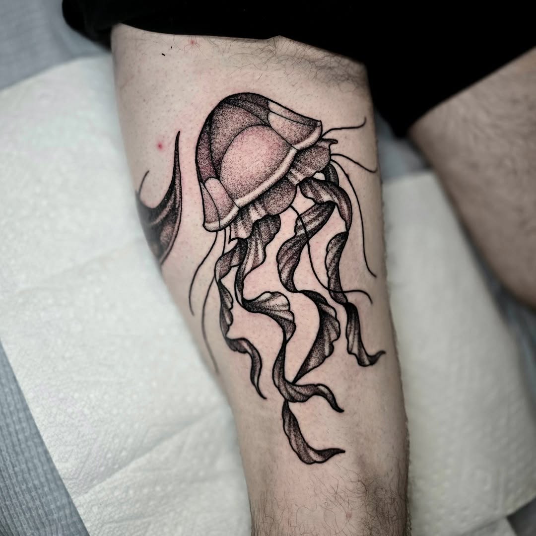 Tattoo by @adisontattoos โ dotwork, black_and_grey