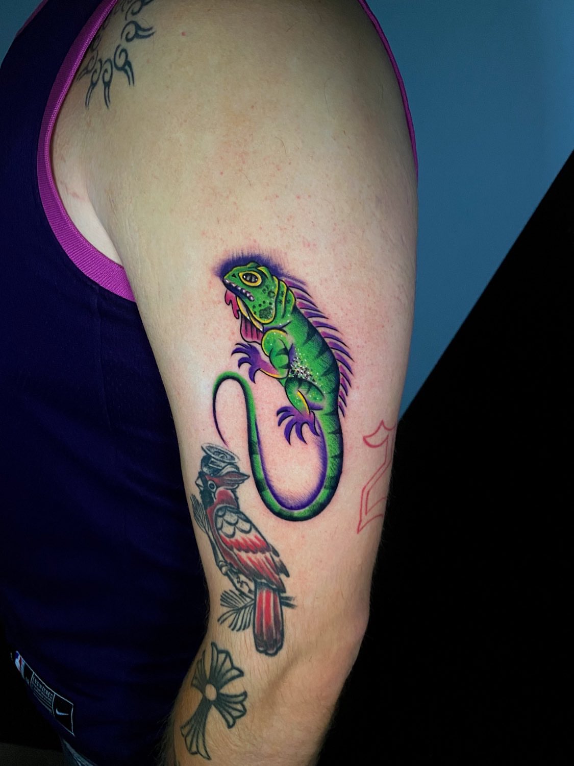 Iguana and bird new school tattoo on the forearm by Kelan Mckenna