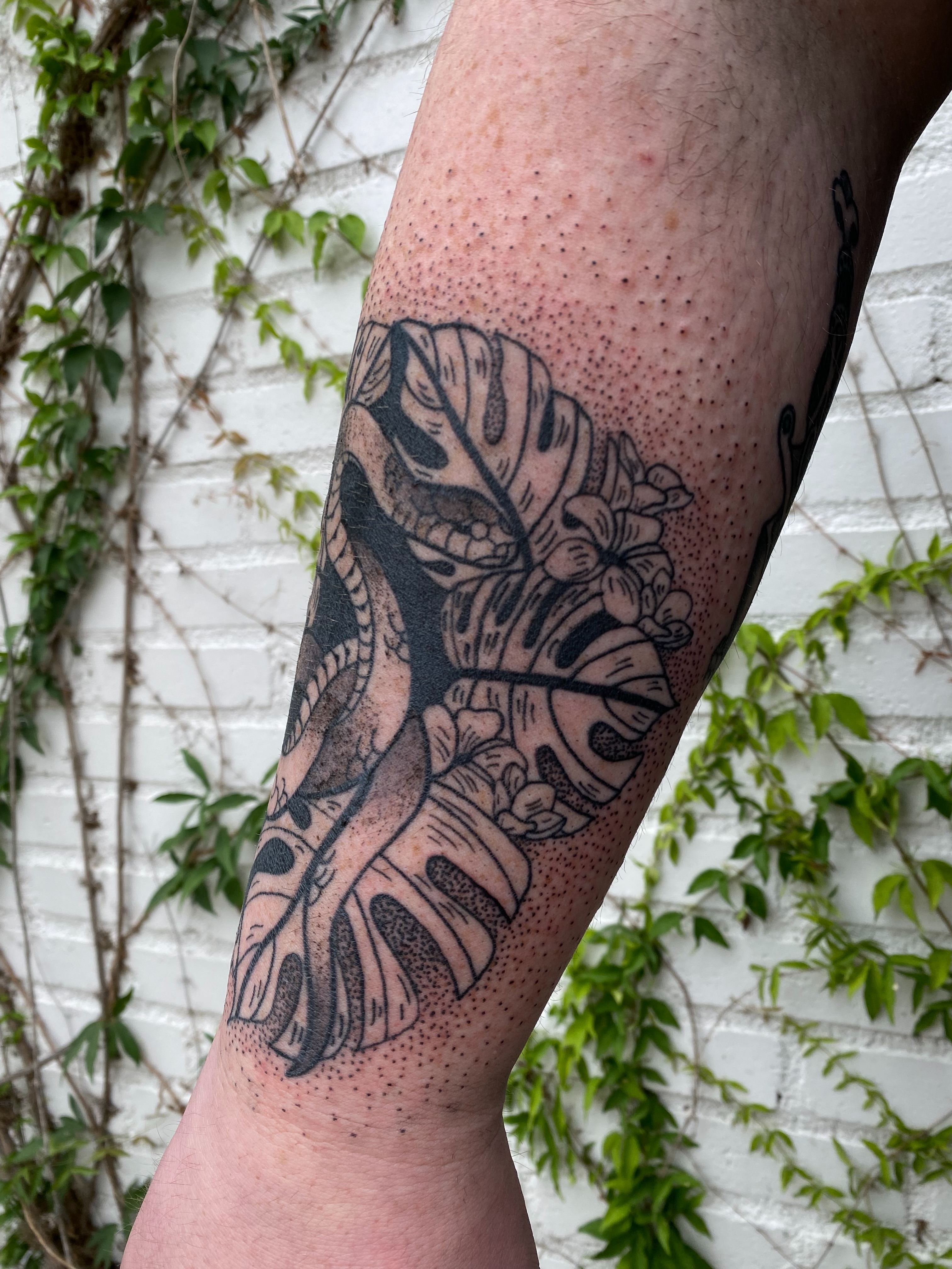 Monstera leaves and flowers dotwork tattoo on the forearm by Emily Miller