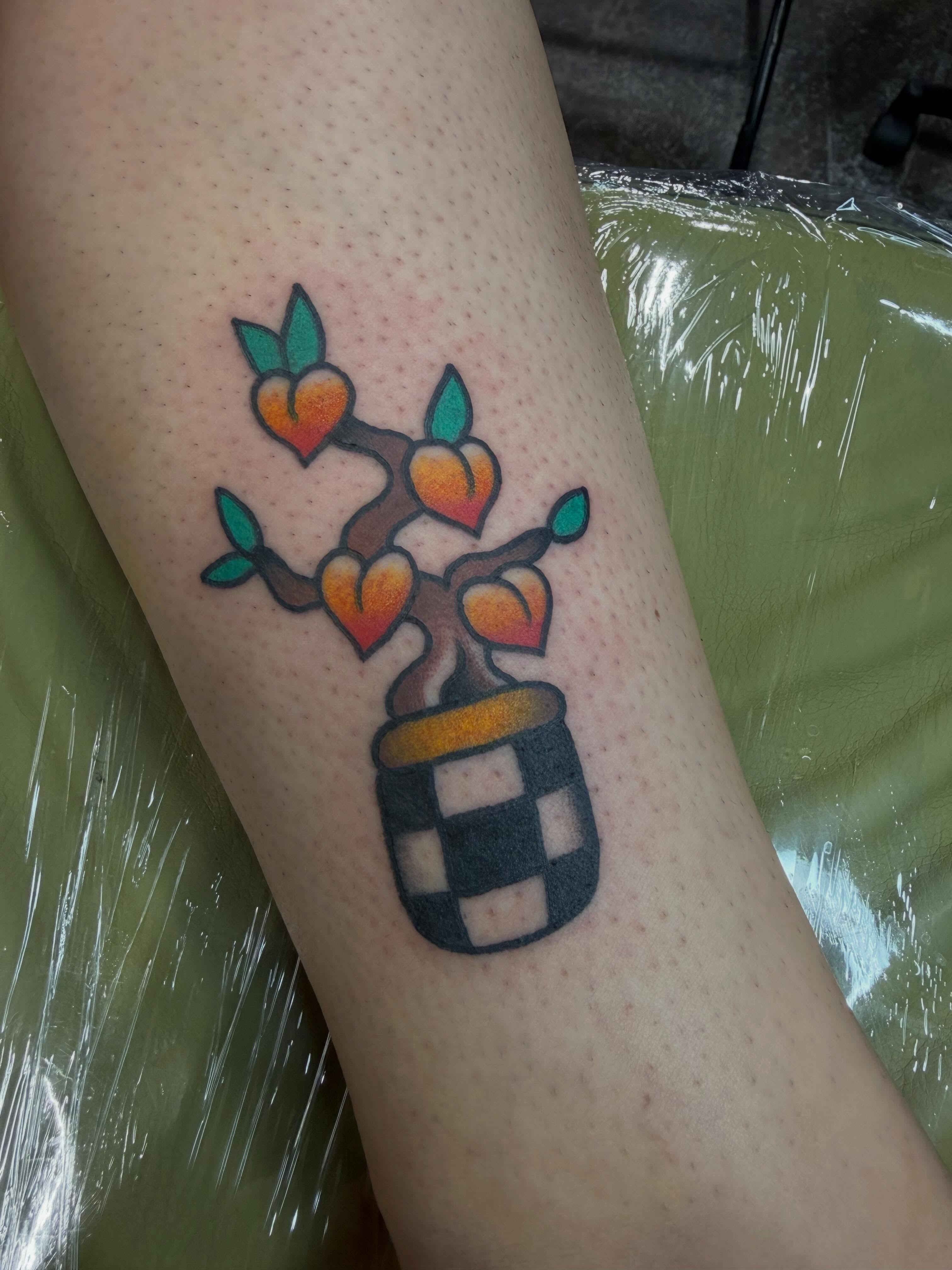 Peach tree in pot American traditional tattoo on the forearm by Hannah Jean